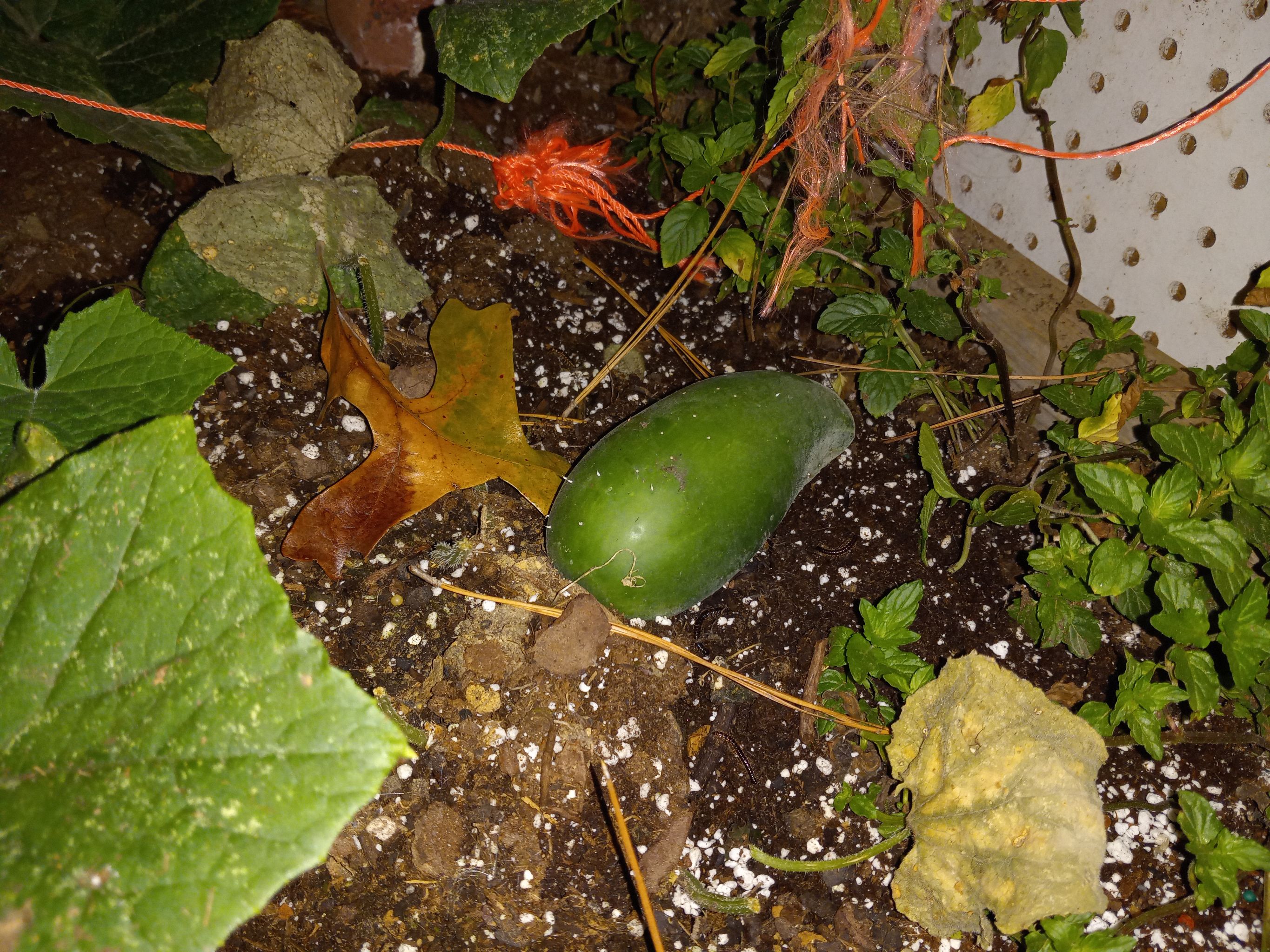 Photo from the post