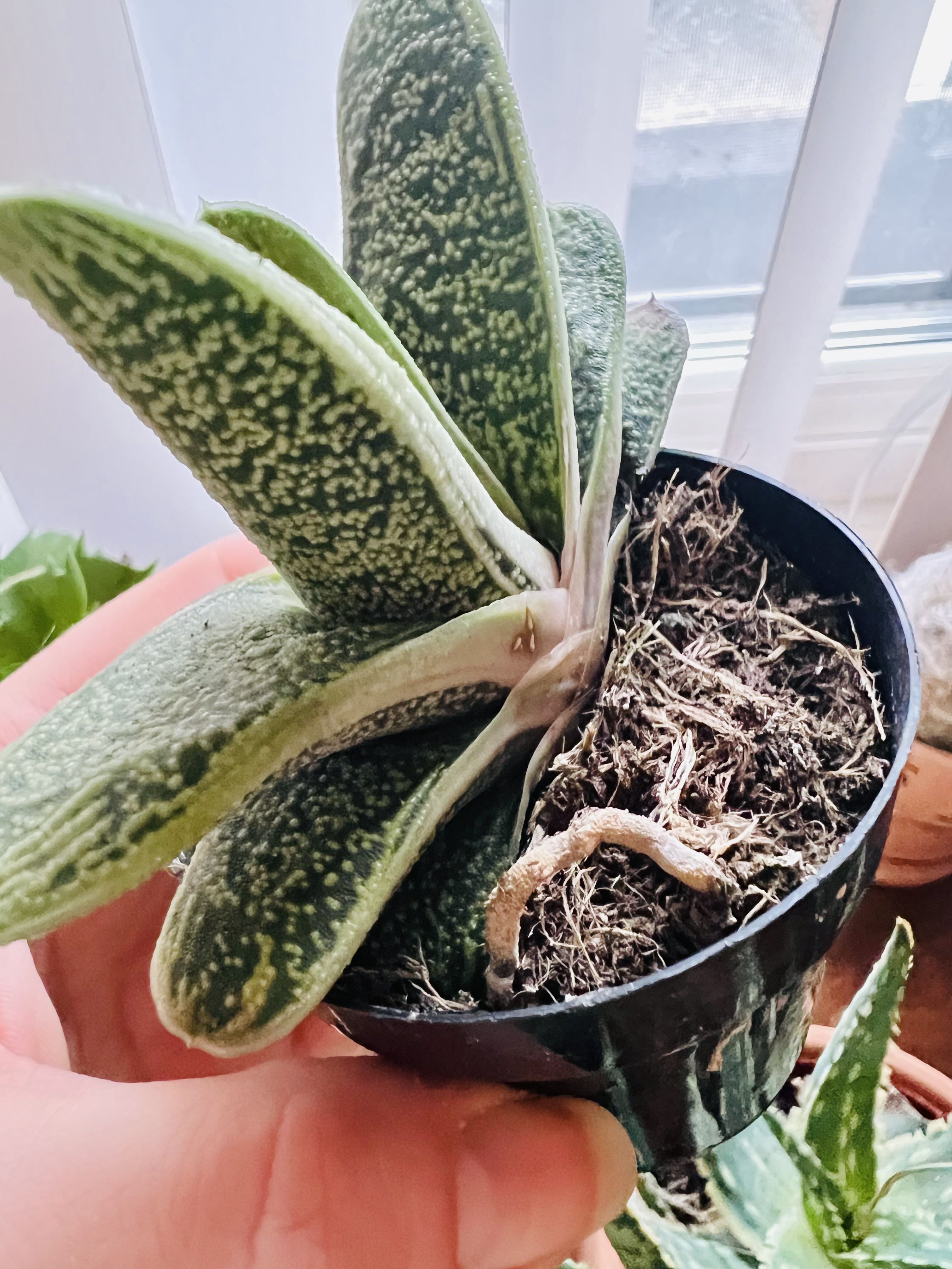 Photo from the post