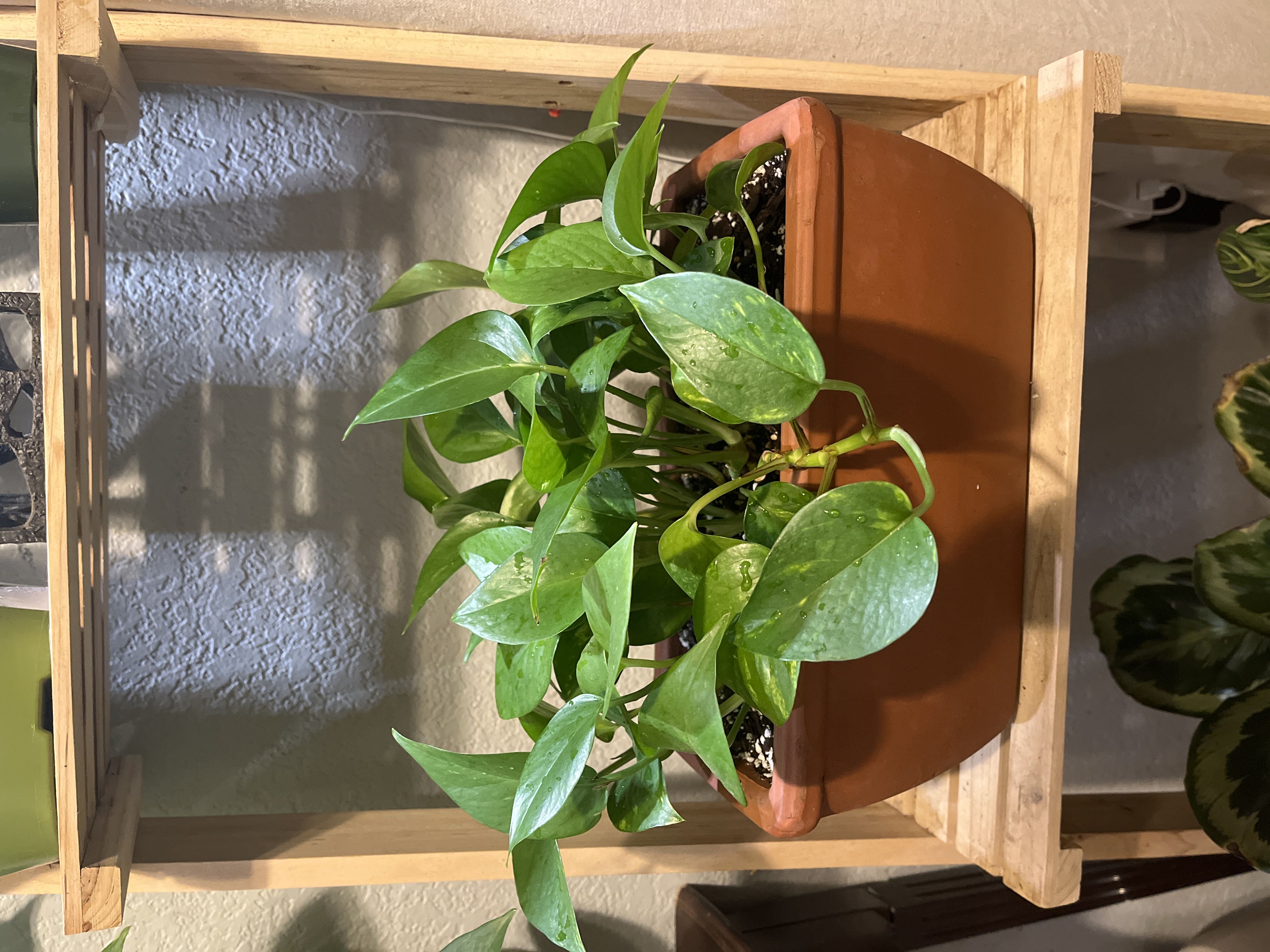 Photo from the post