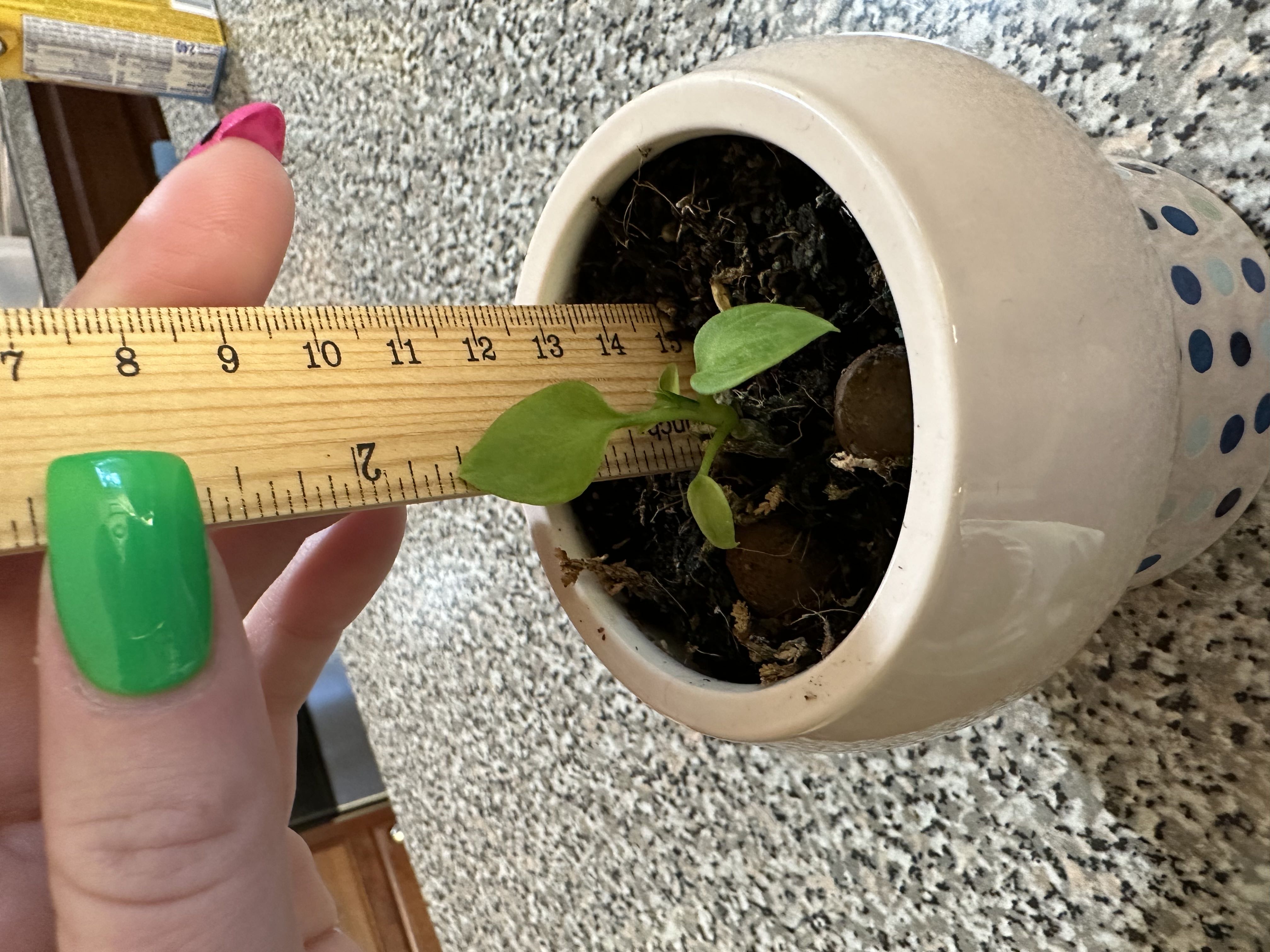 Photo from the post