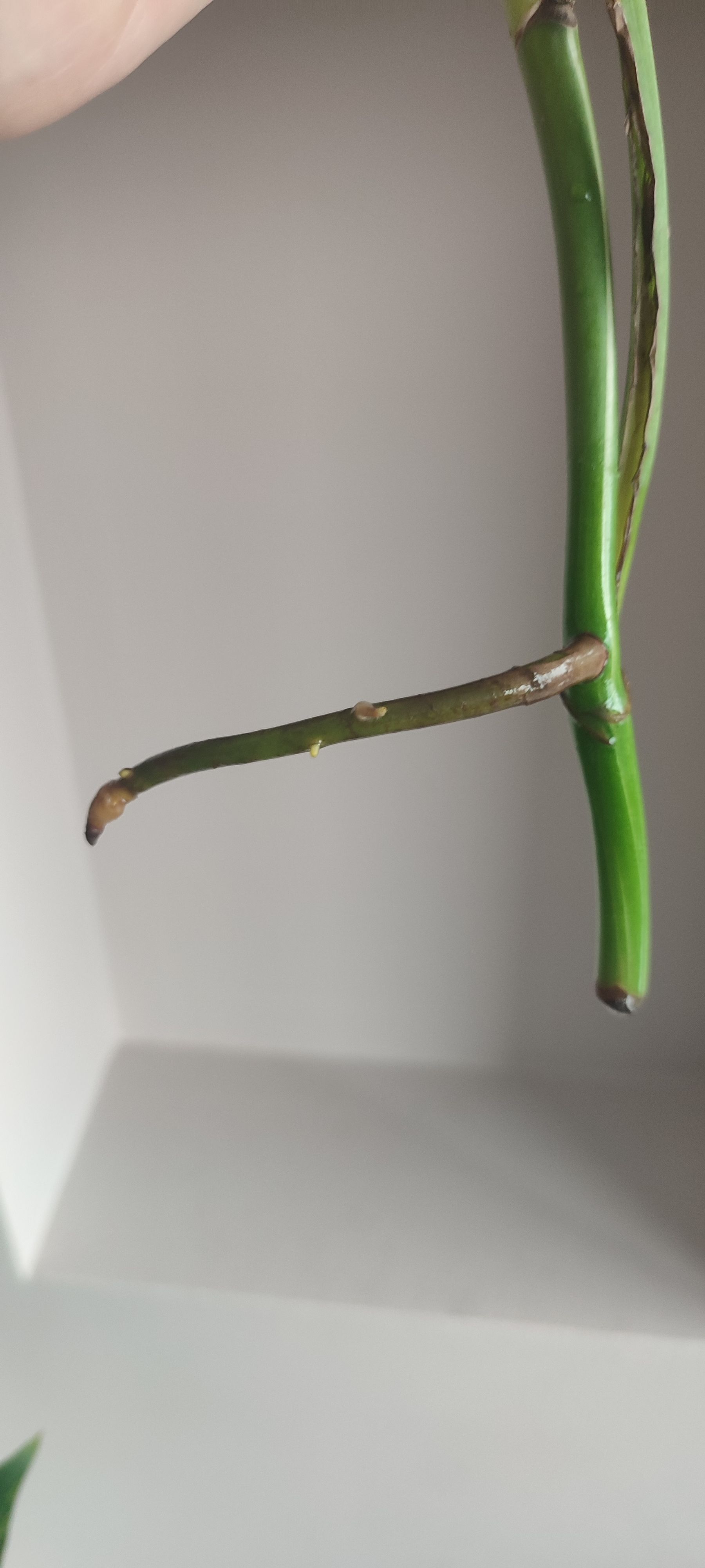 Photo from the post
