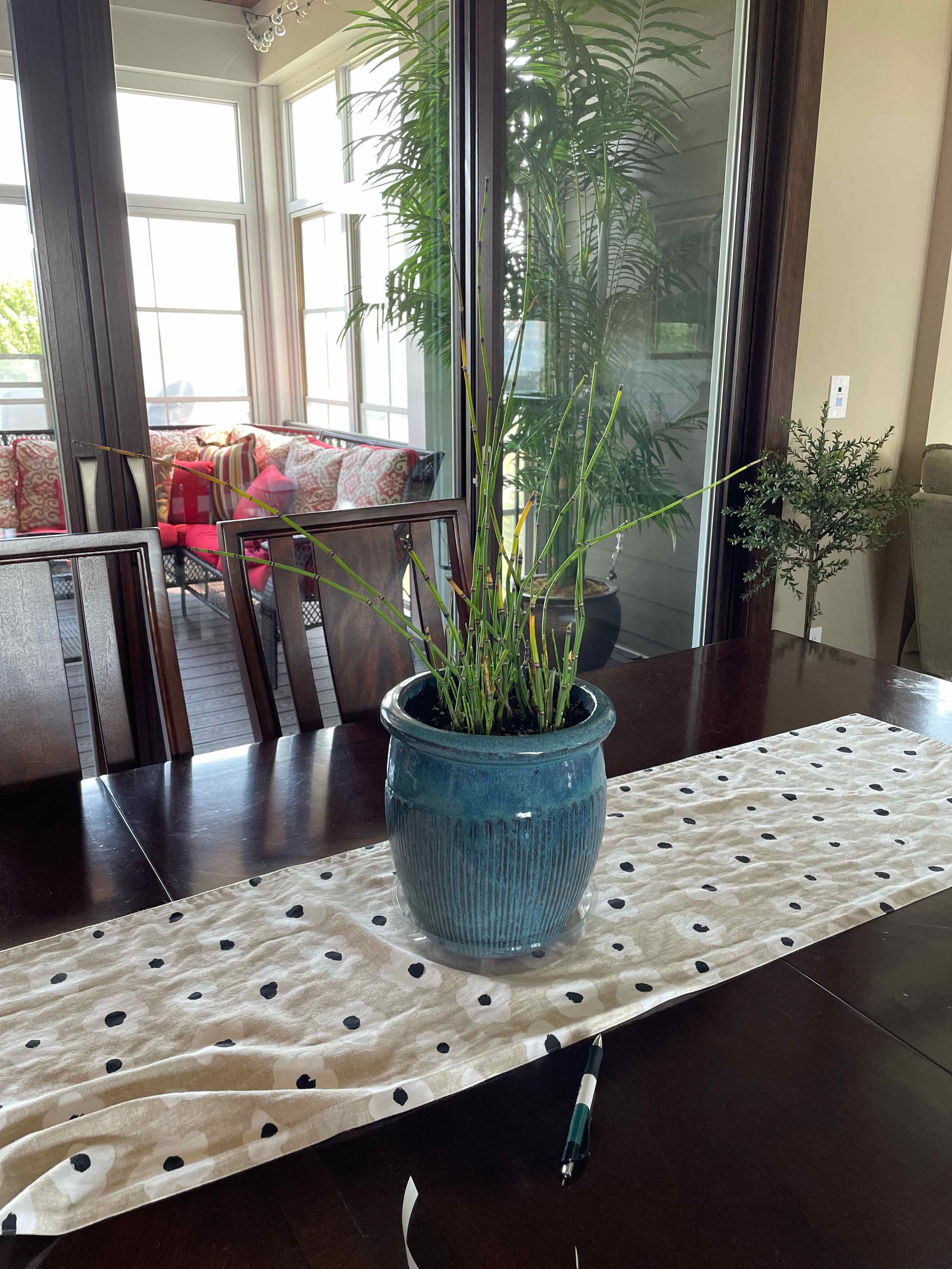 Plant care for Holcus rigidus on Greg, the plant care app