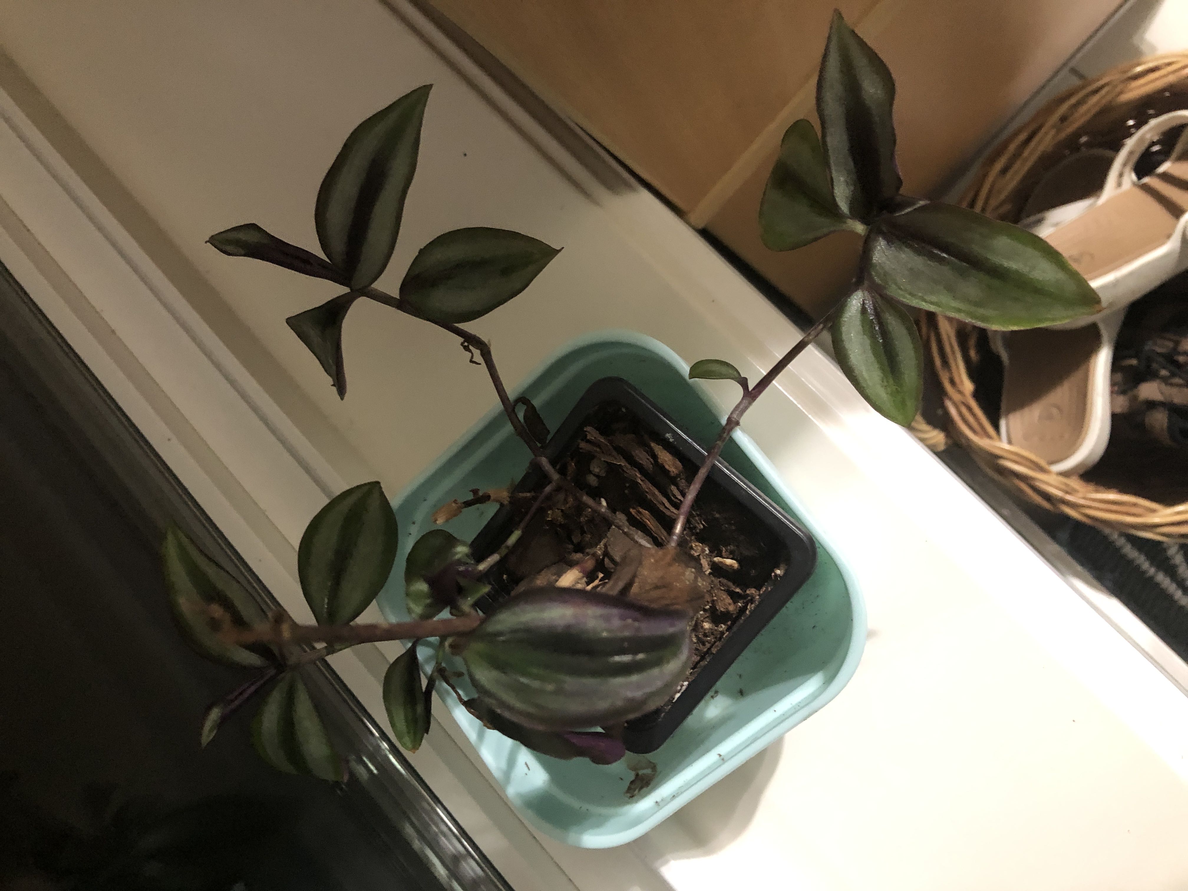 Photo from the post