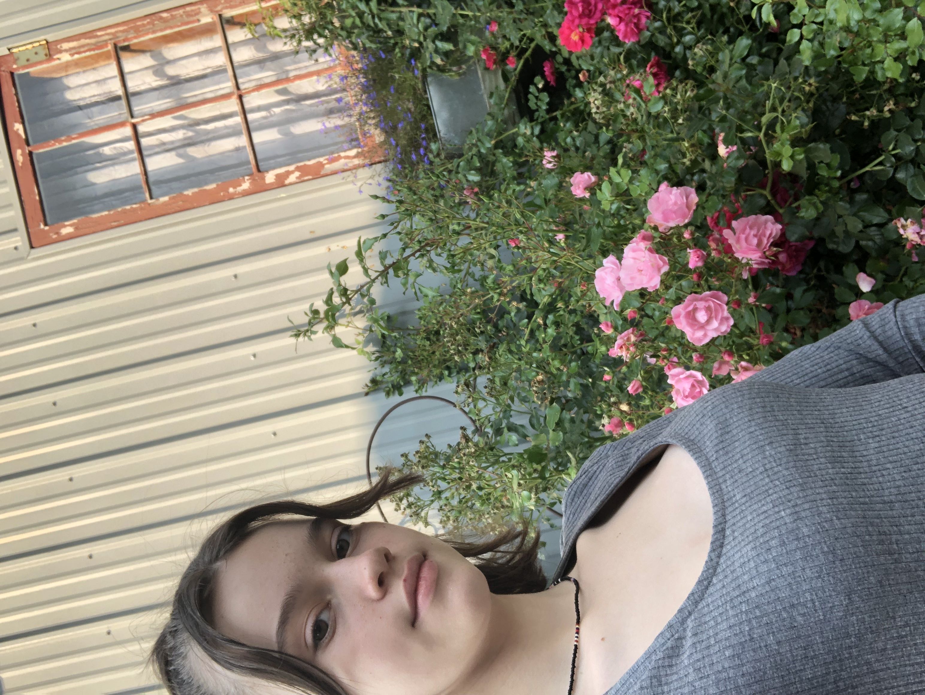 Photo from the post