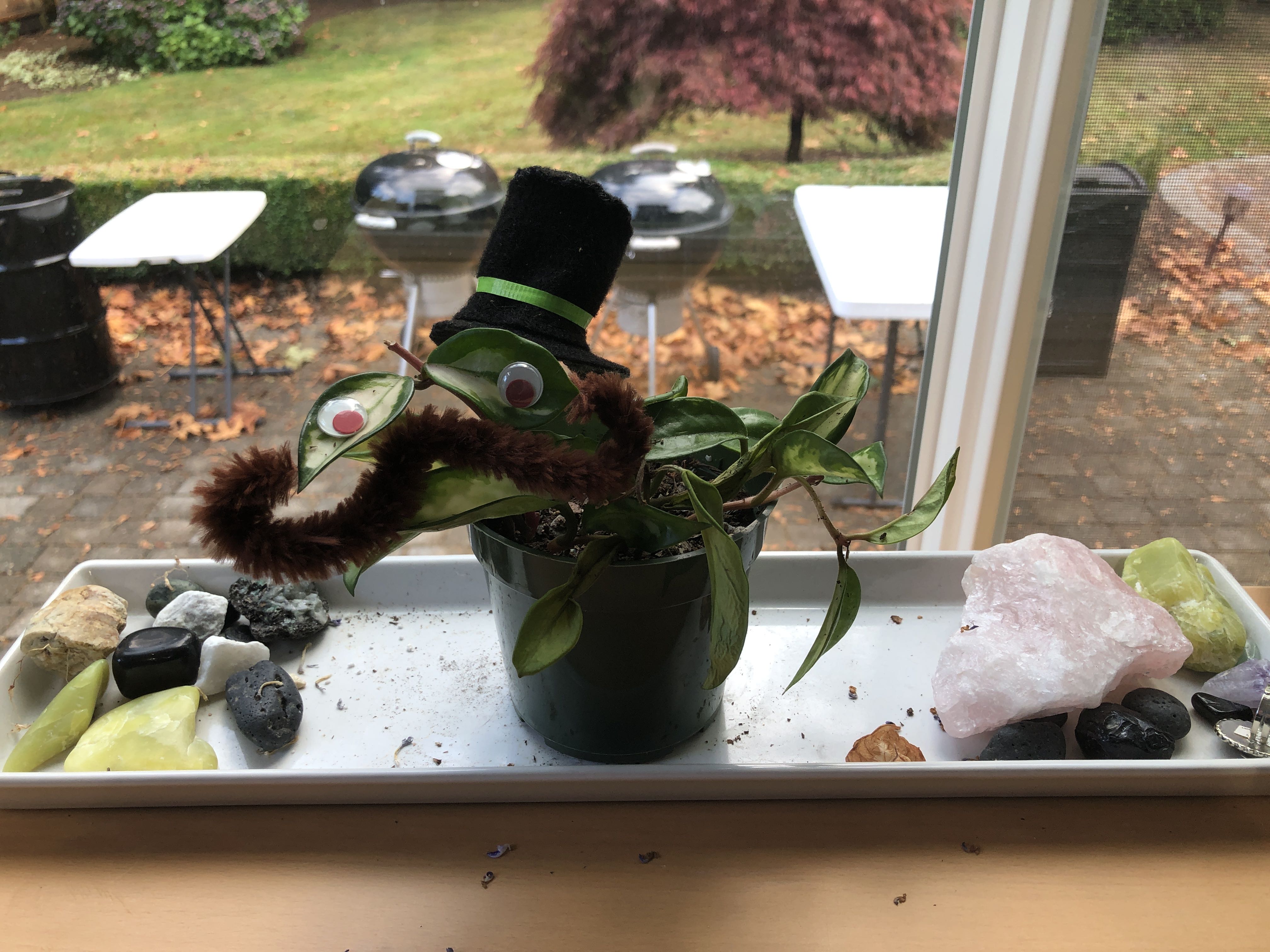 Photo from the post