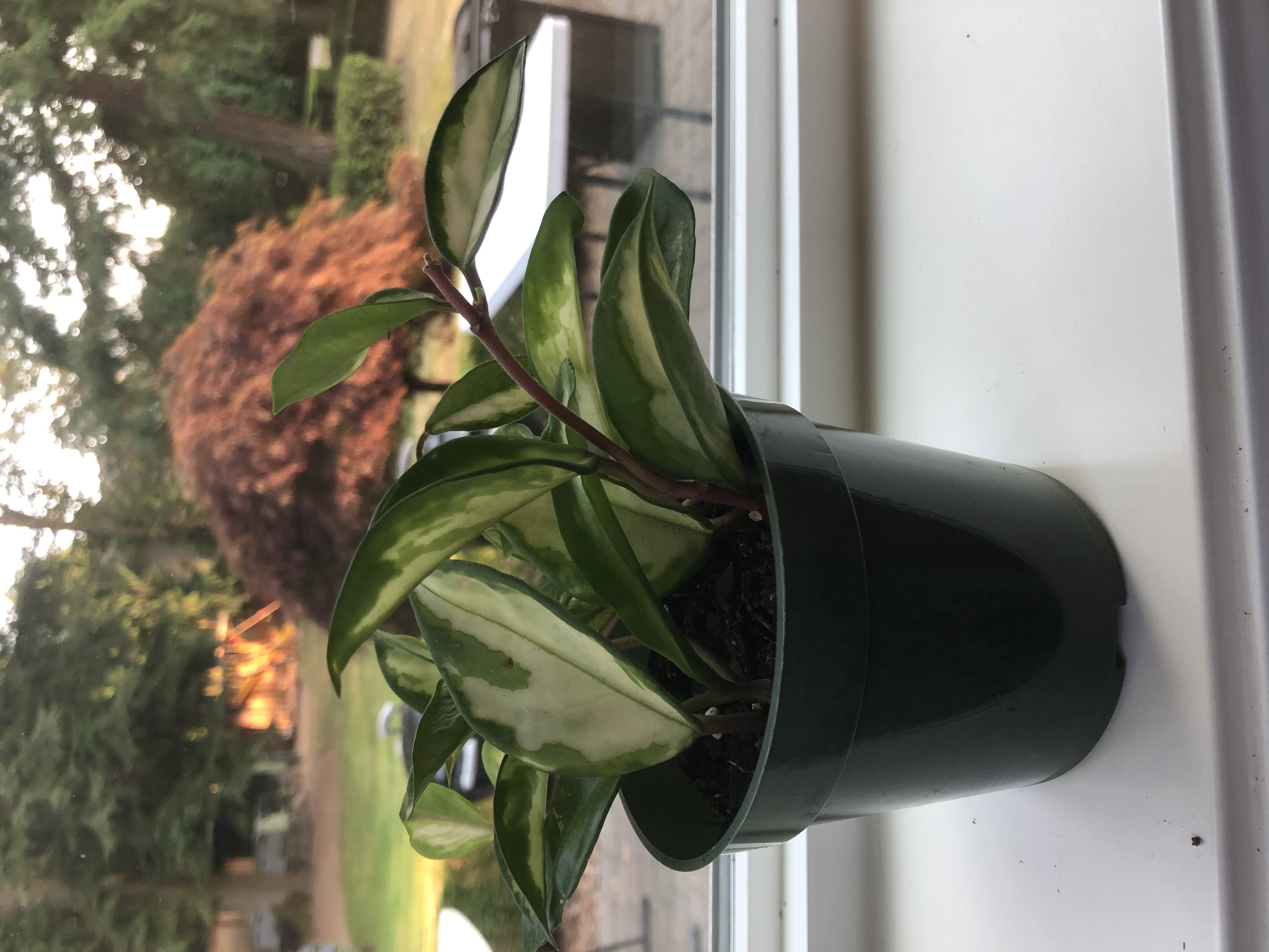 Photo from the post