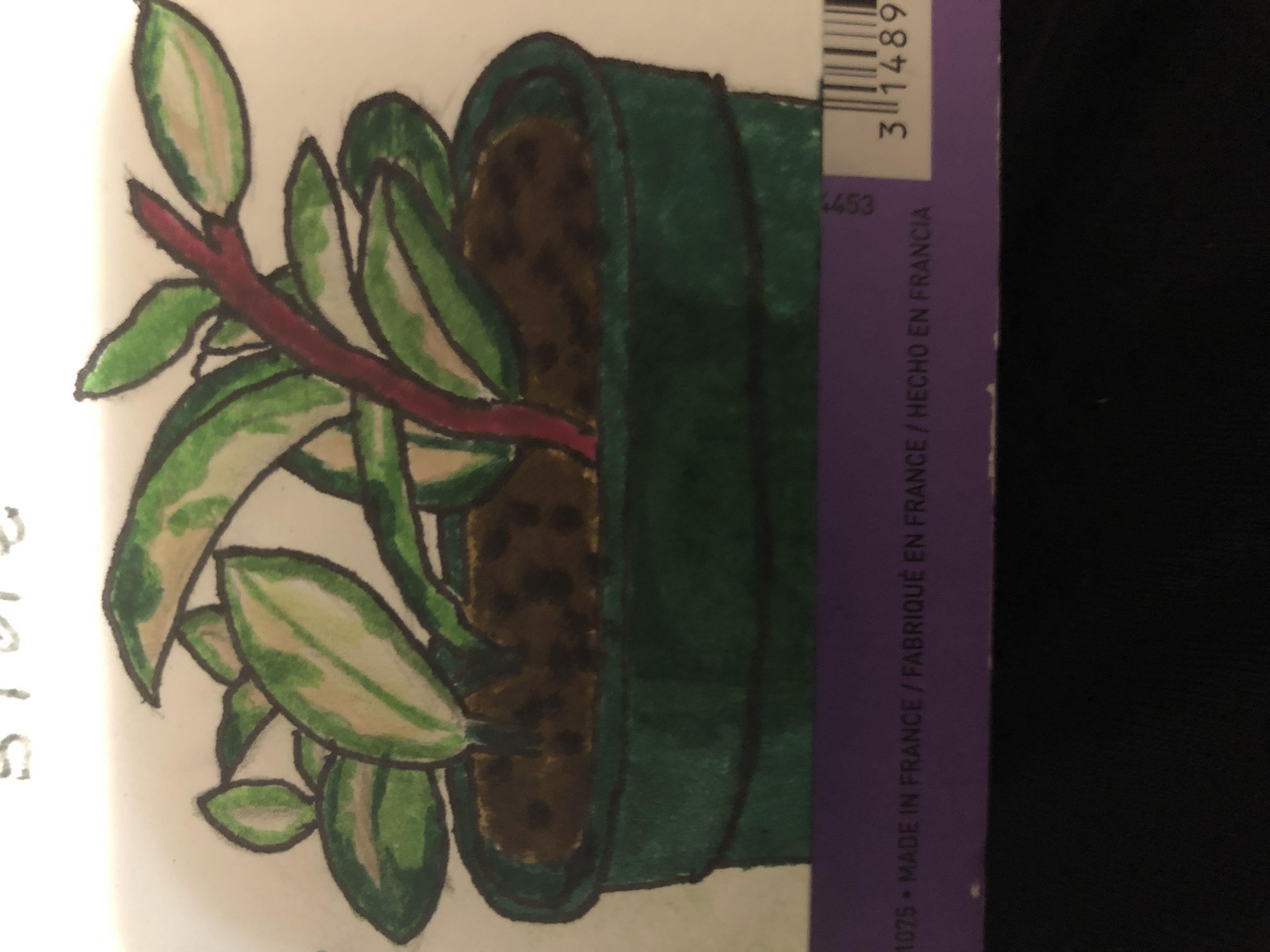 Photo from the post