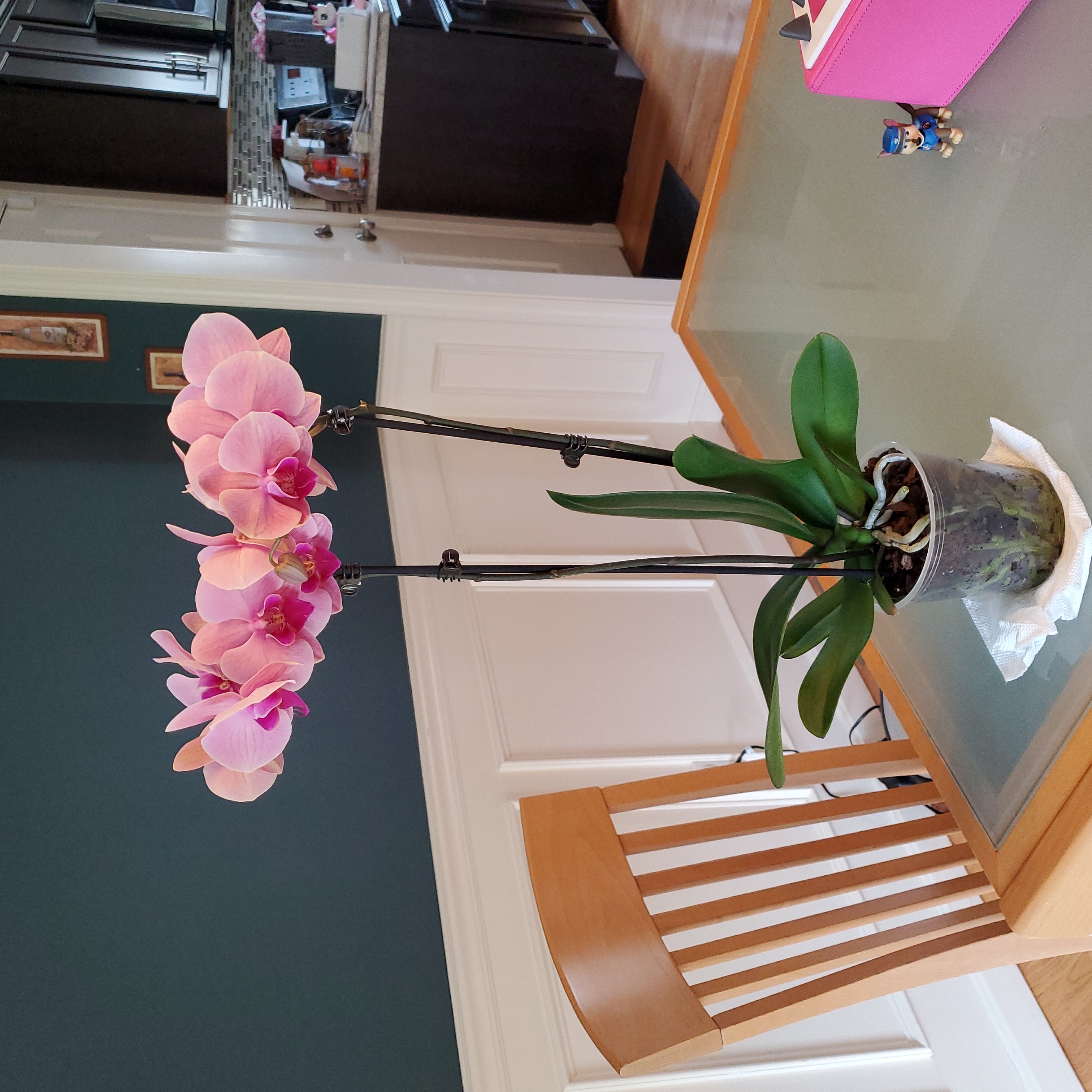 Mother's day 22