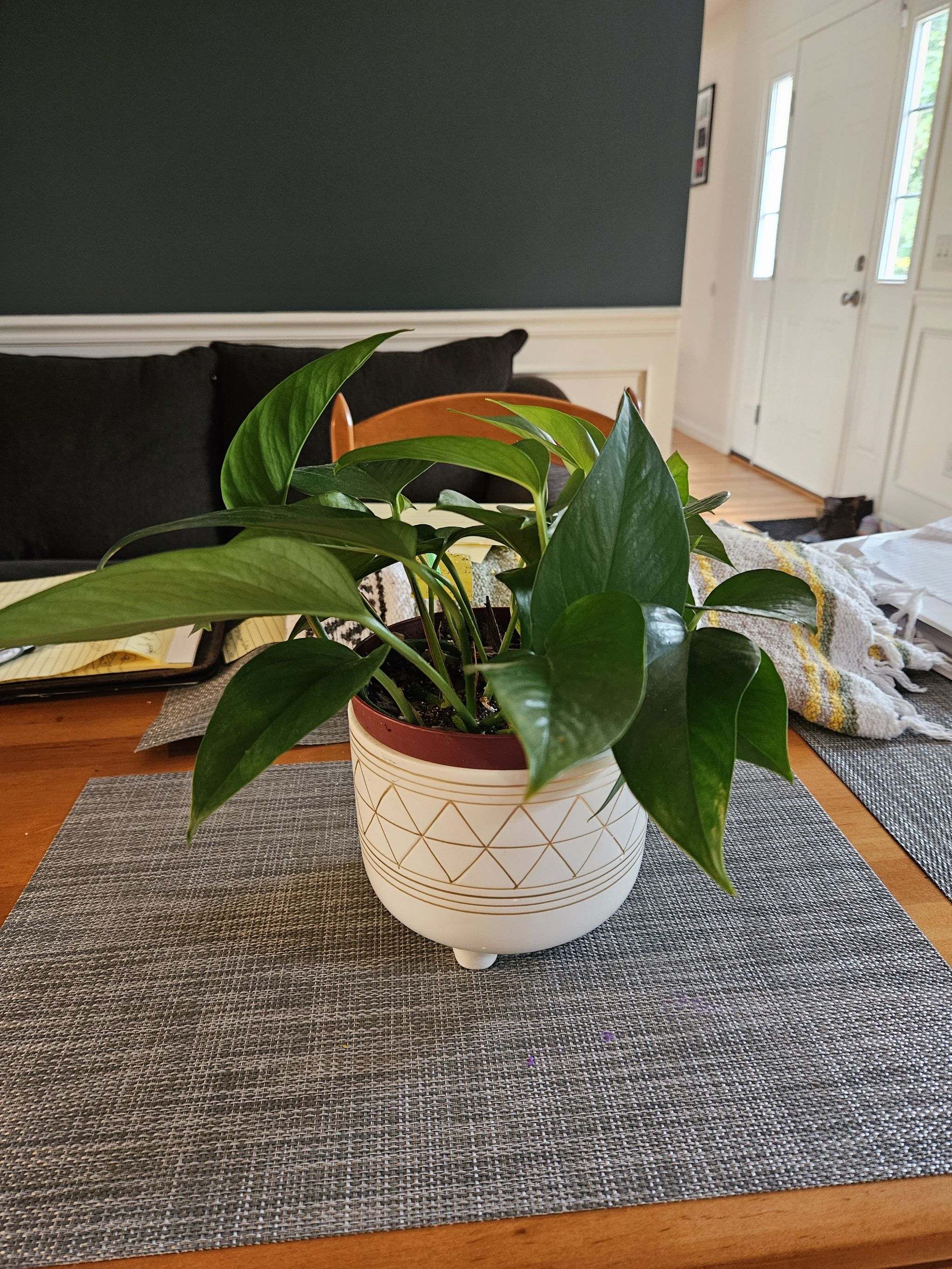 Photo from the post