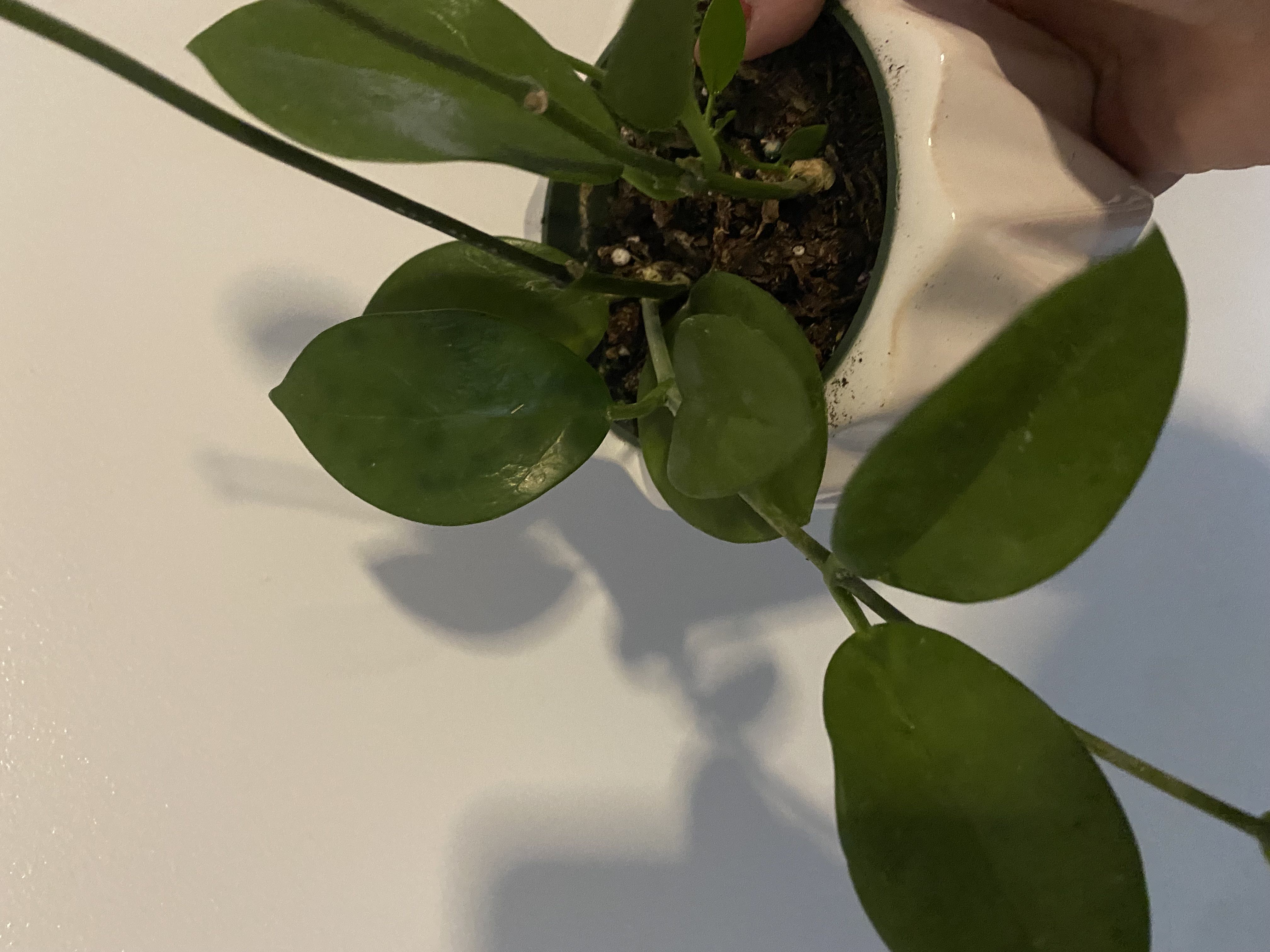 Photo from the post