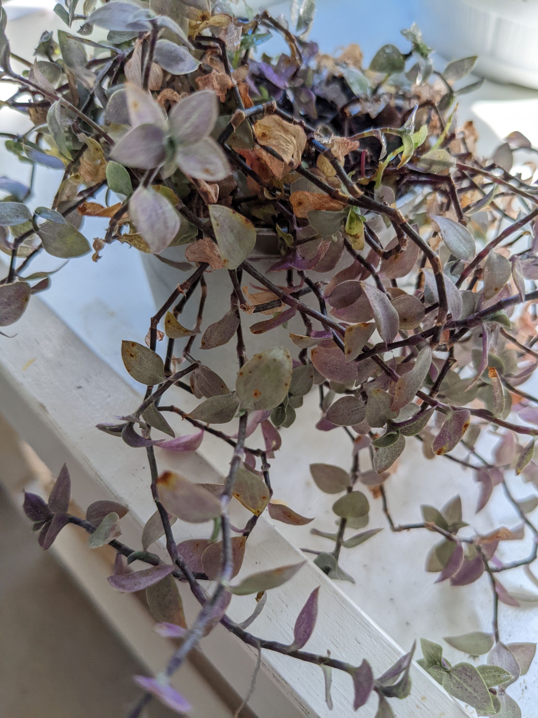 Photo from the post