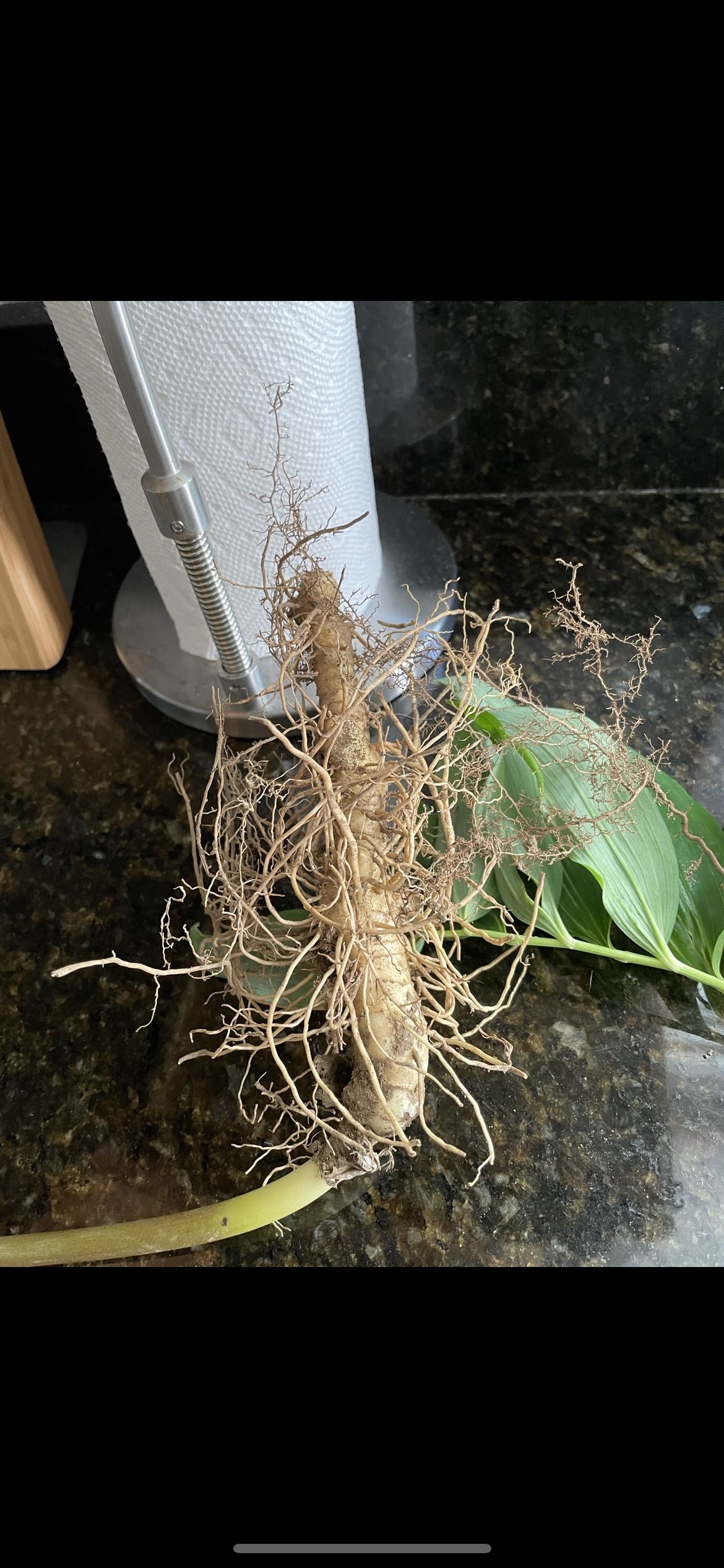Photo from the post