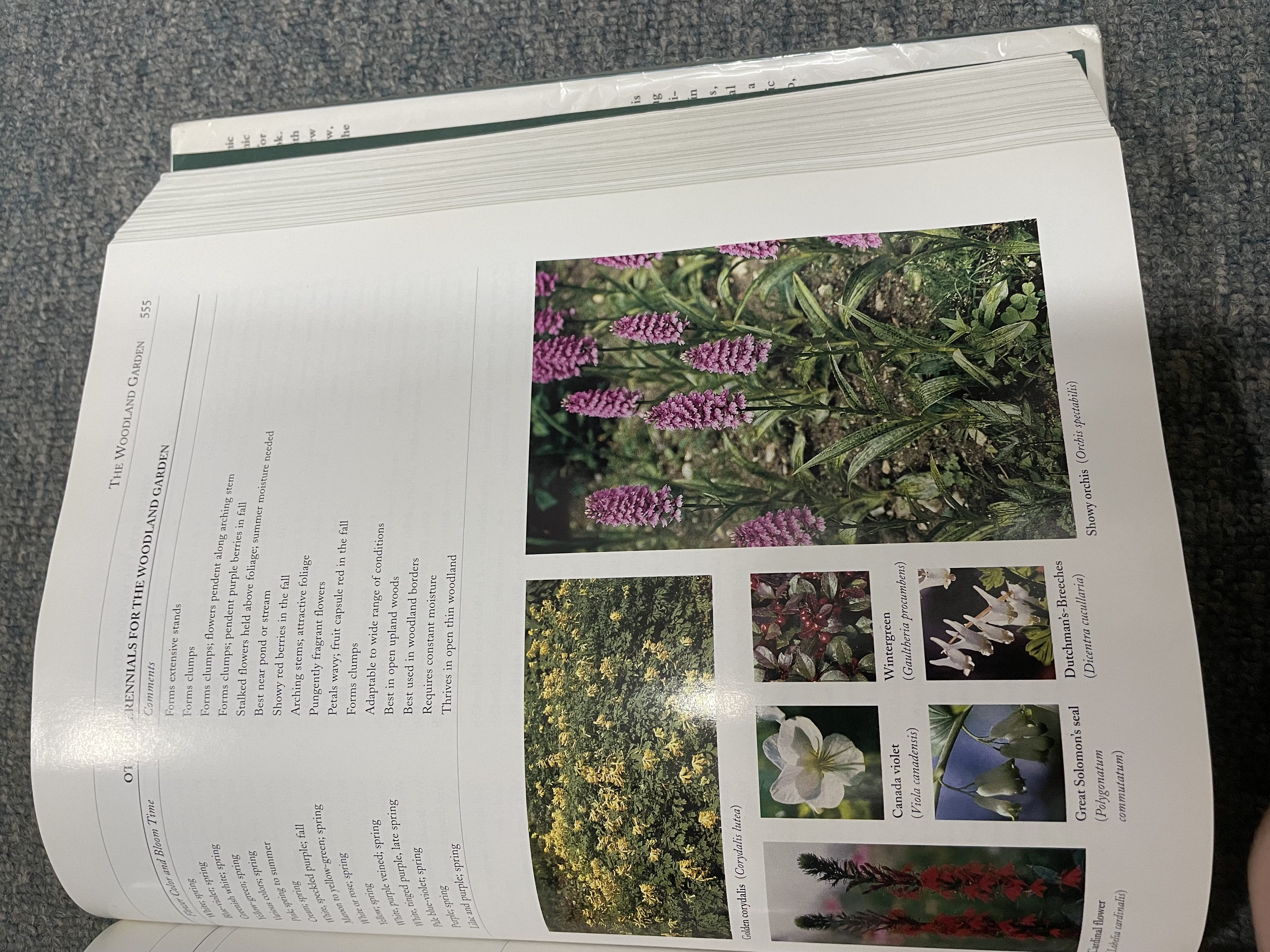 Photo from the post