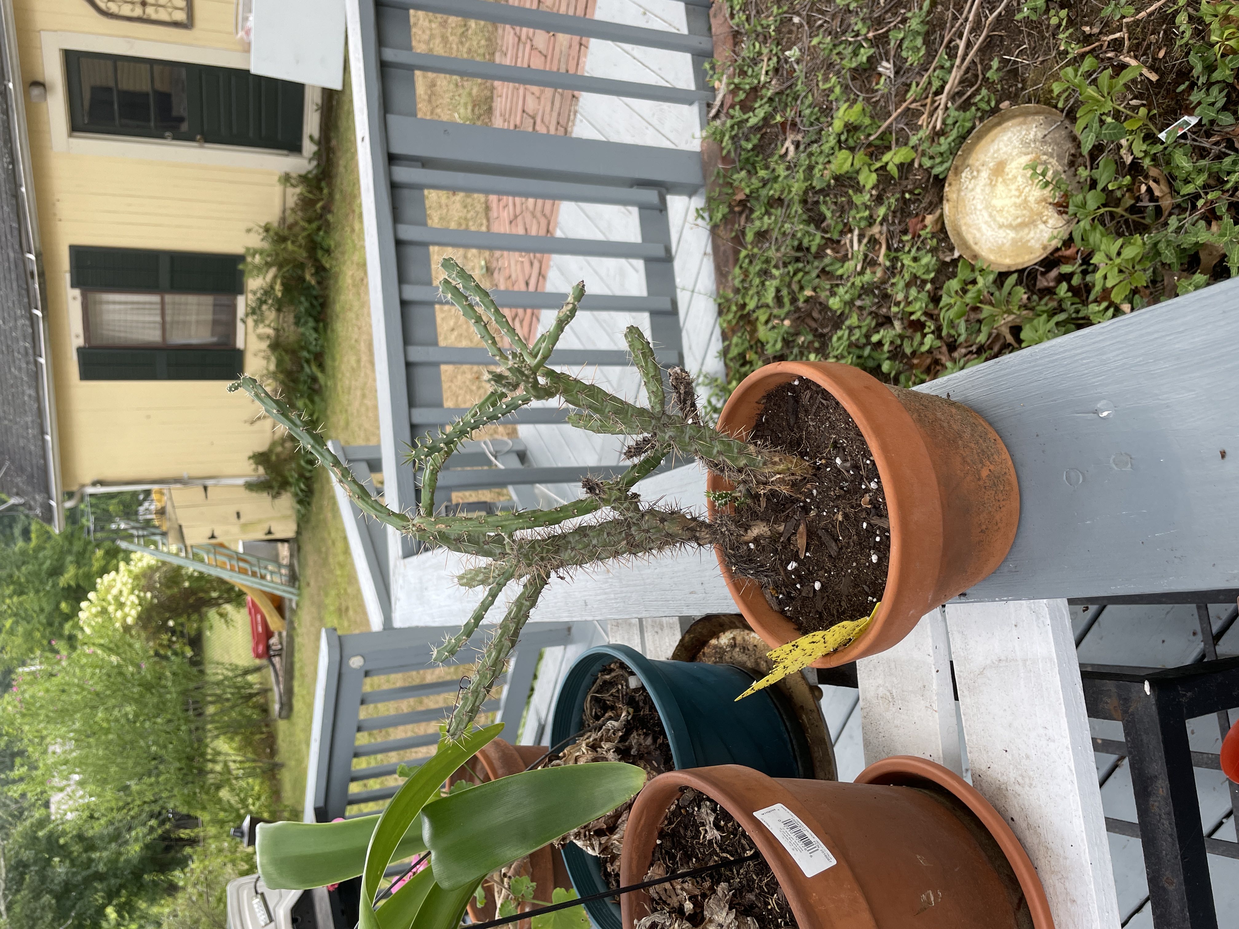 Photo from the post