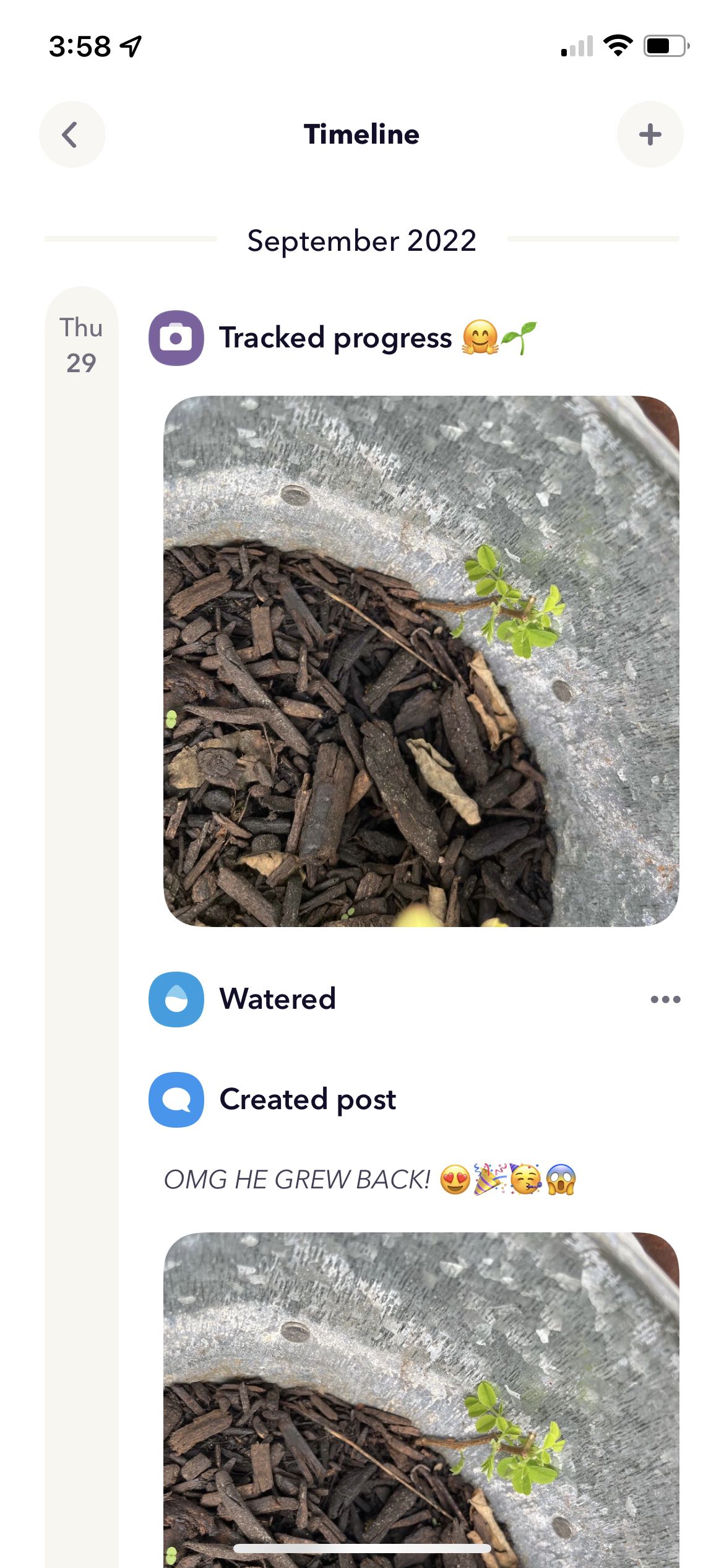 Photo from the post