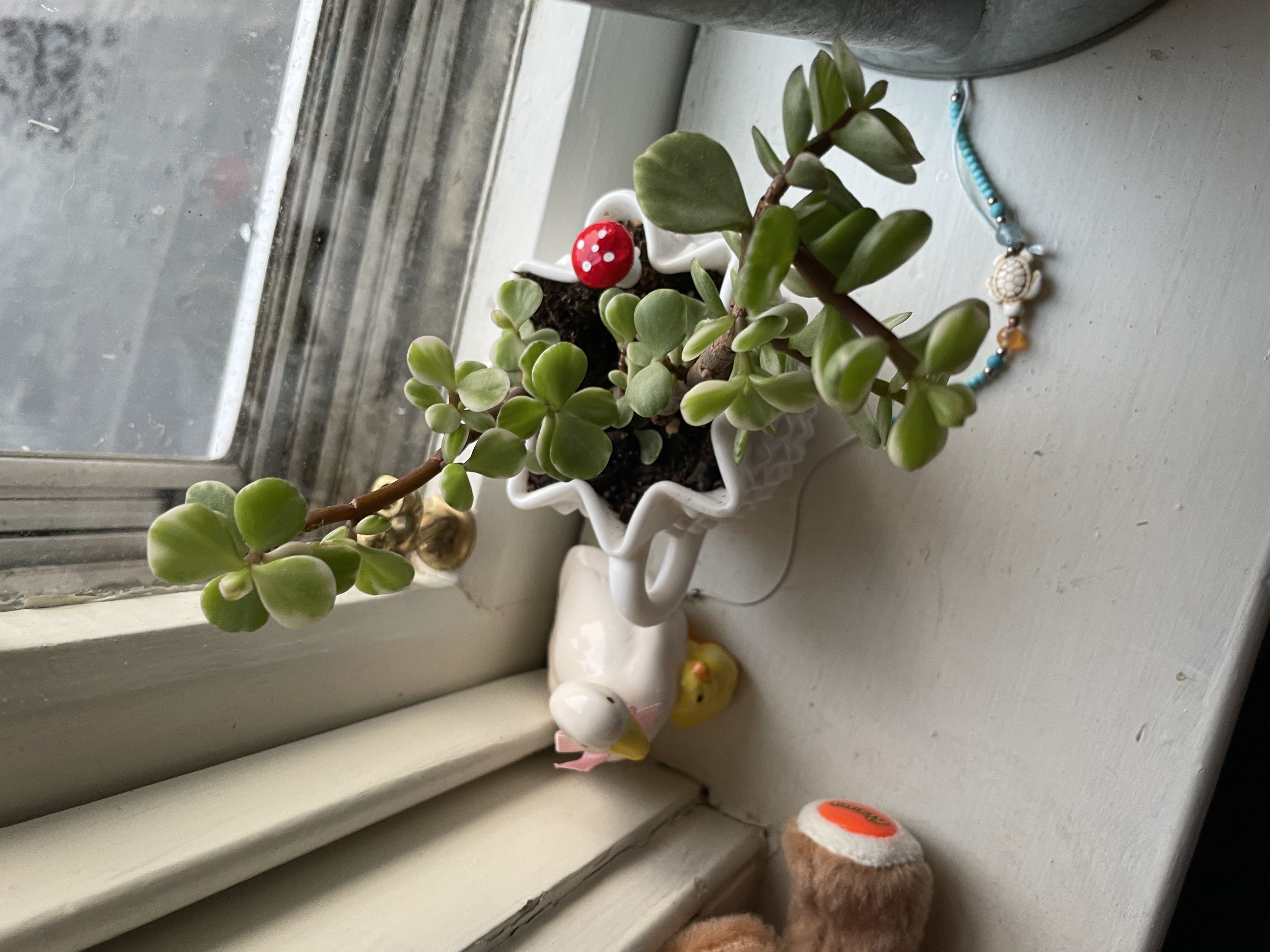 Photo from the post