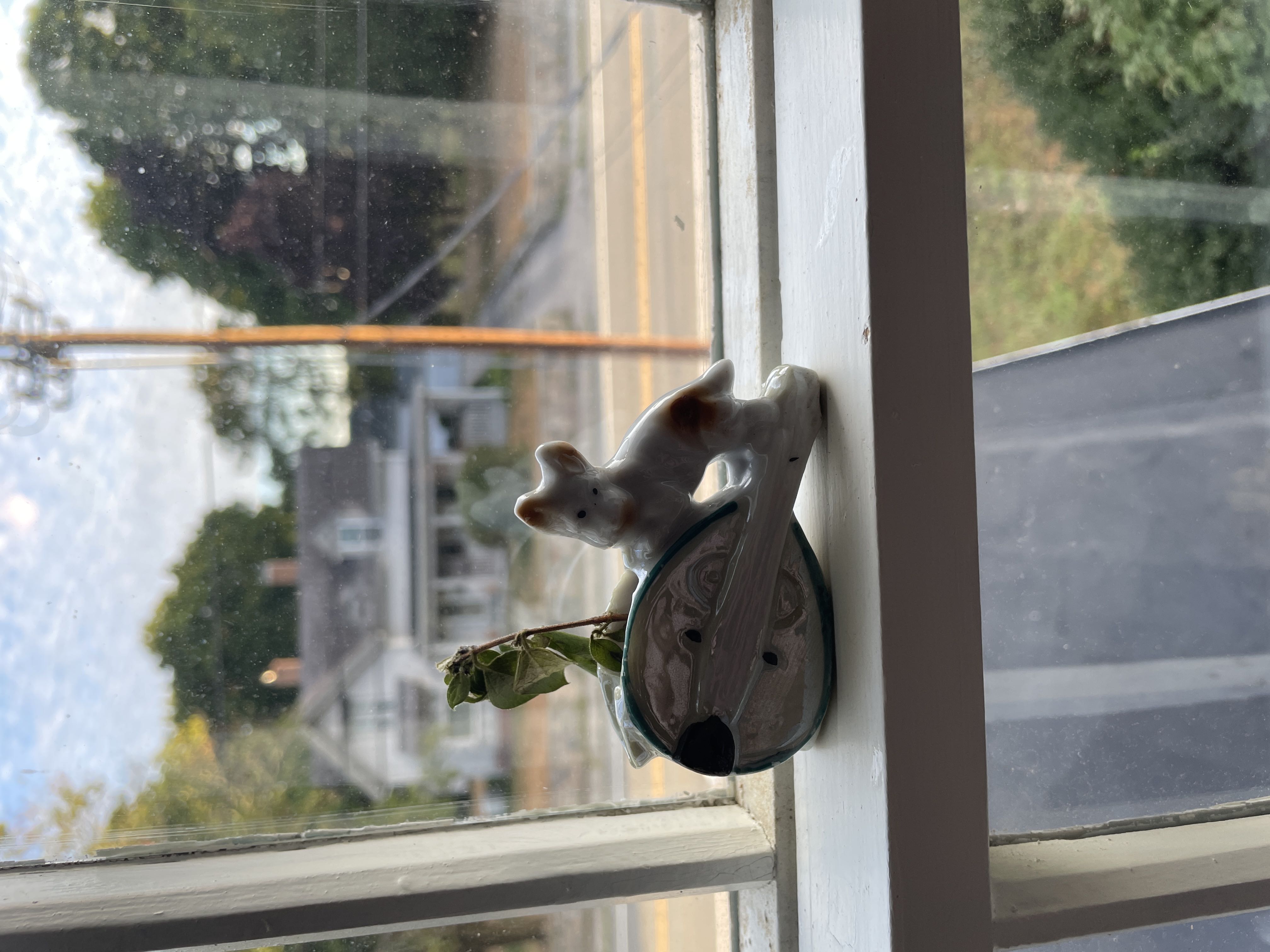 Photo from the post