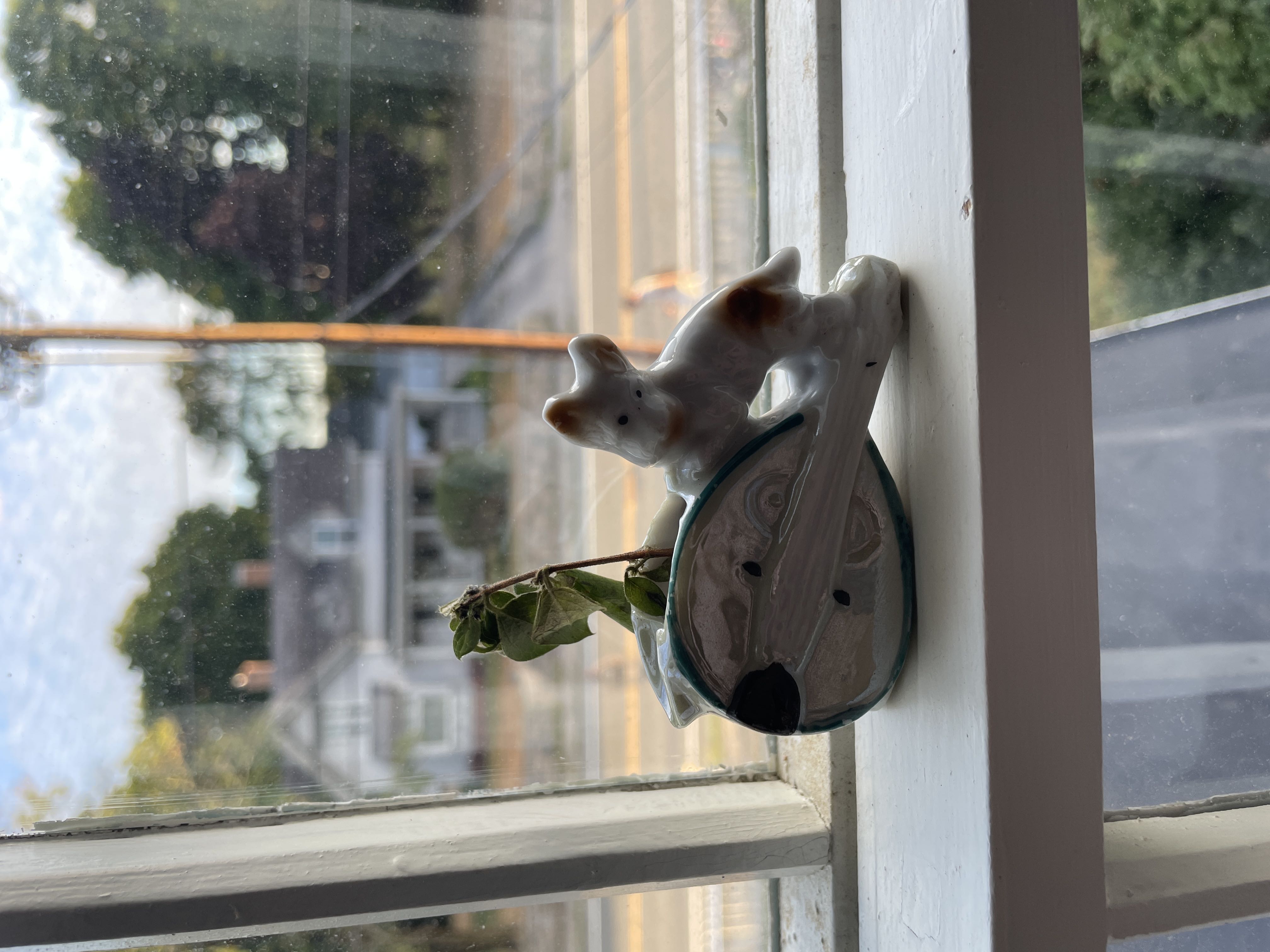 Photo from the post
