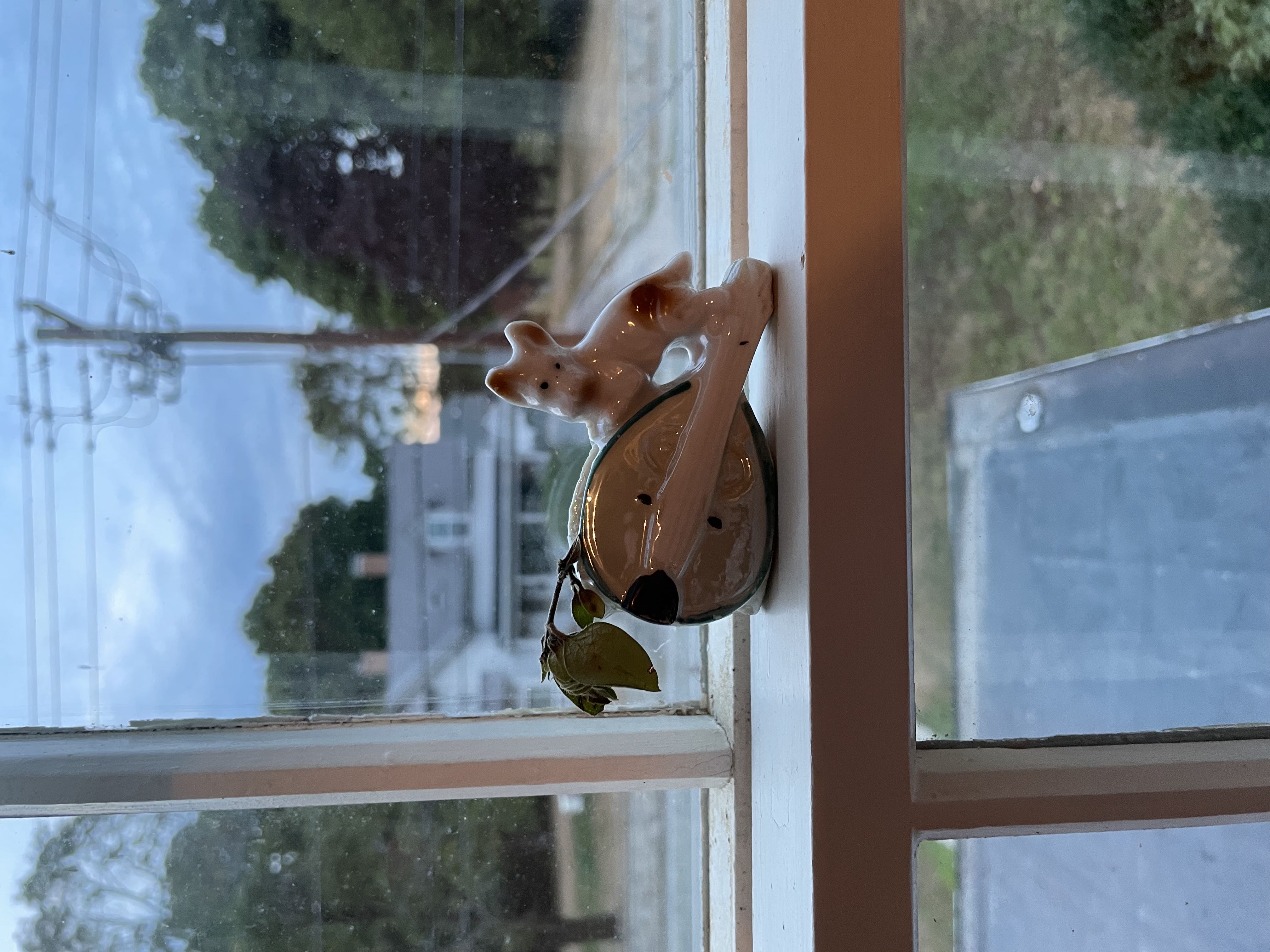 Photo from the post