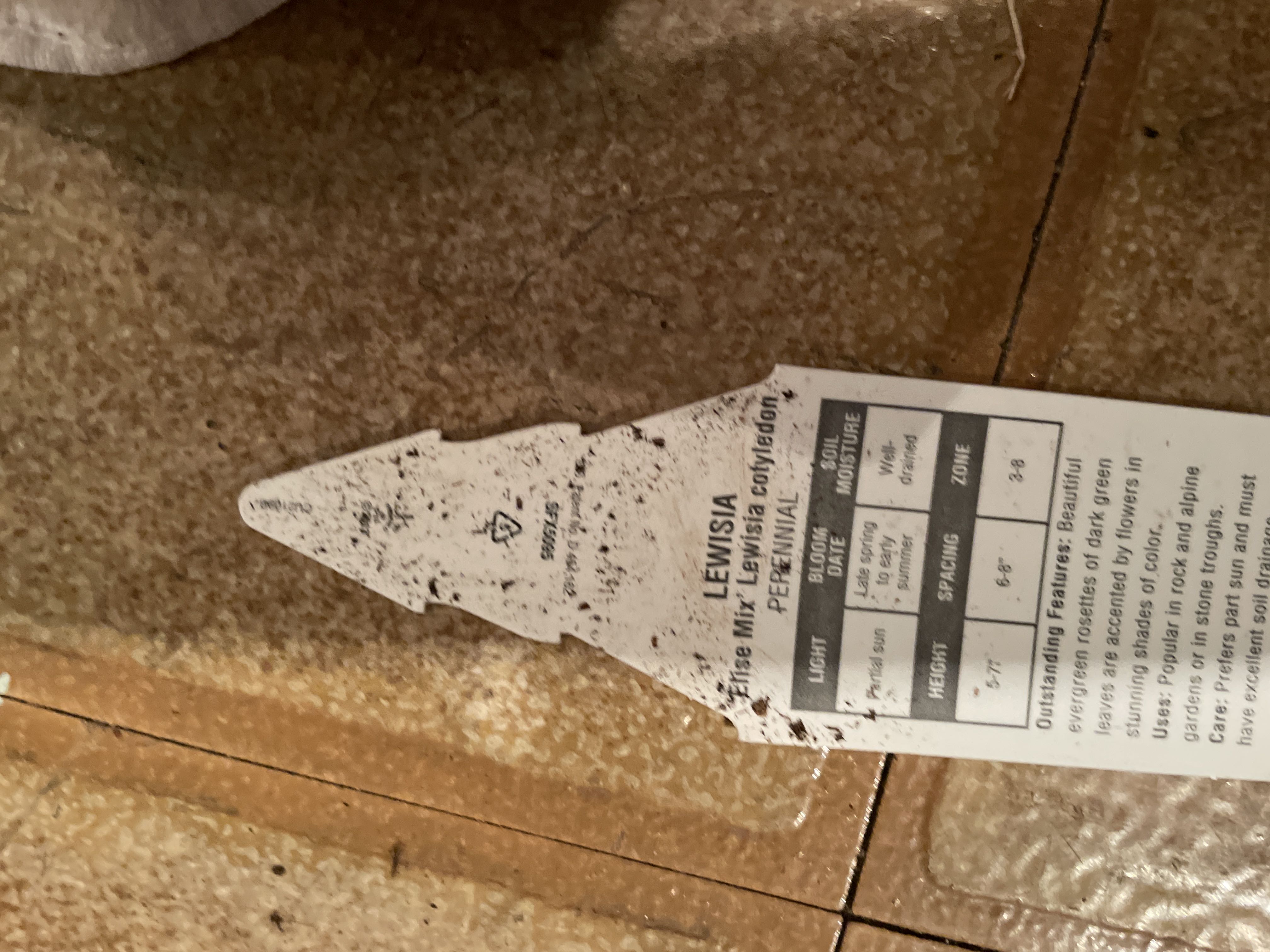 Photo from the post
