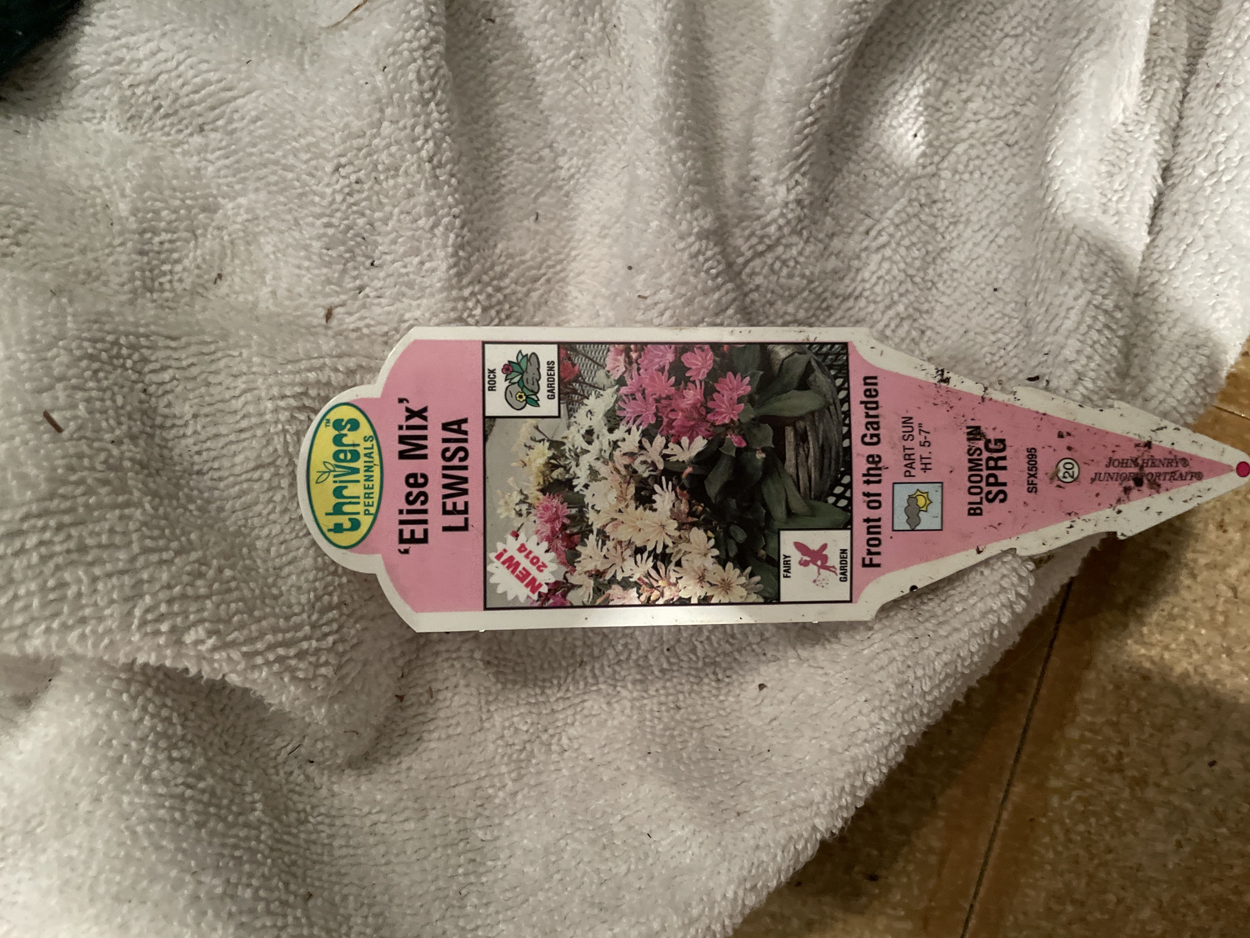 Photo from the post