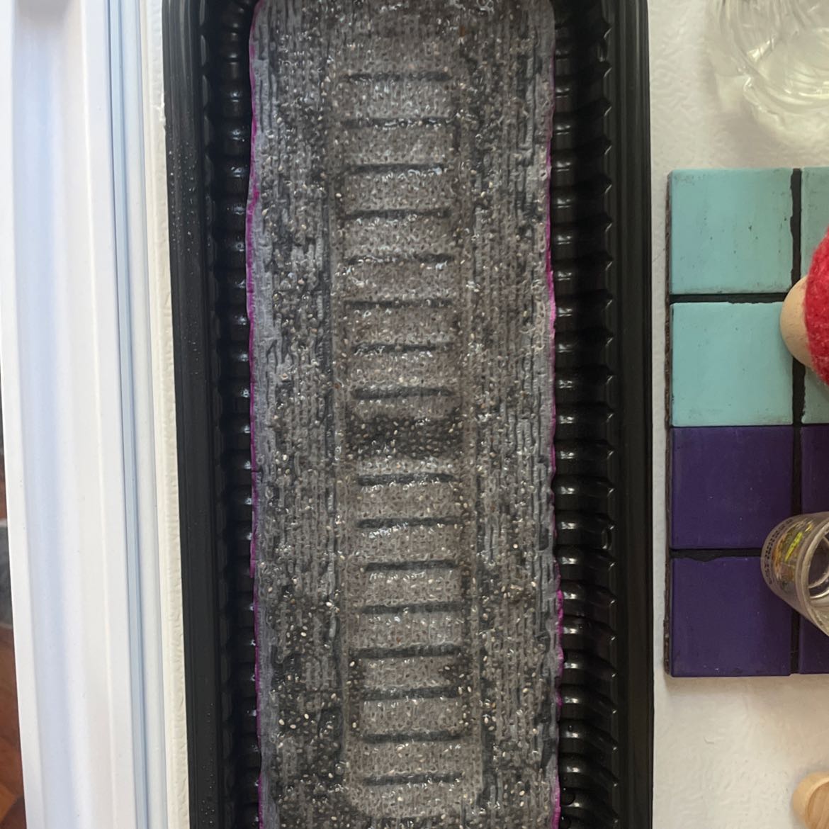 Tray with chia seeds in early germination stage.