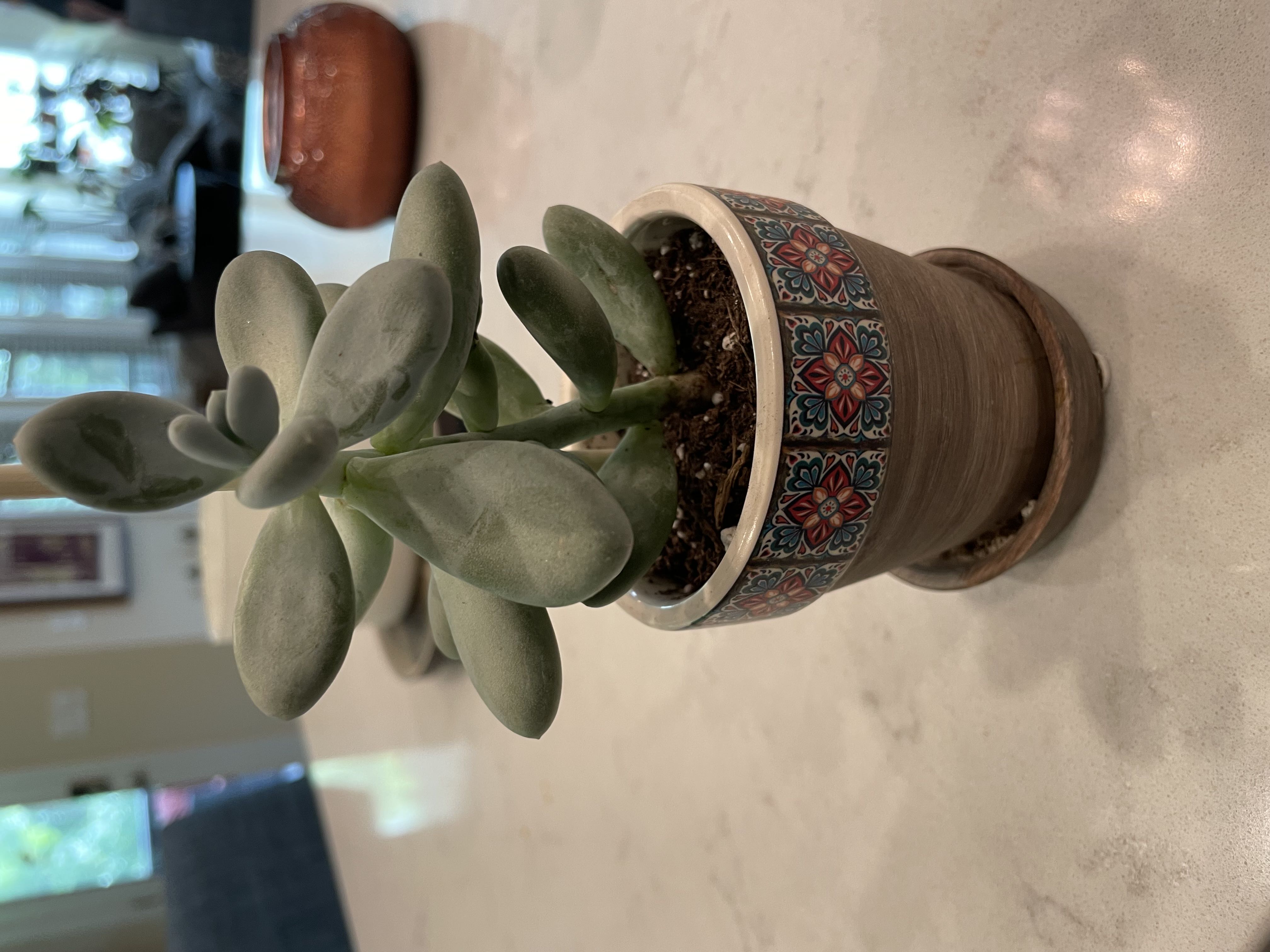 Photo from the post