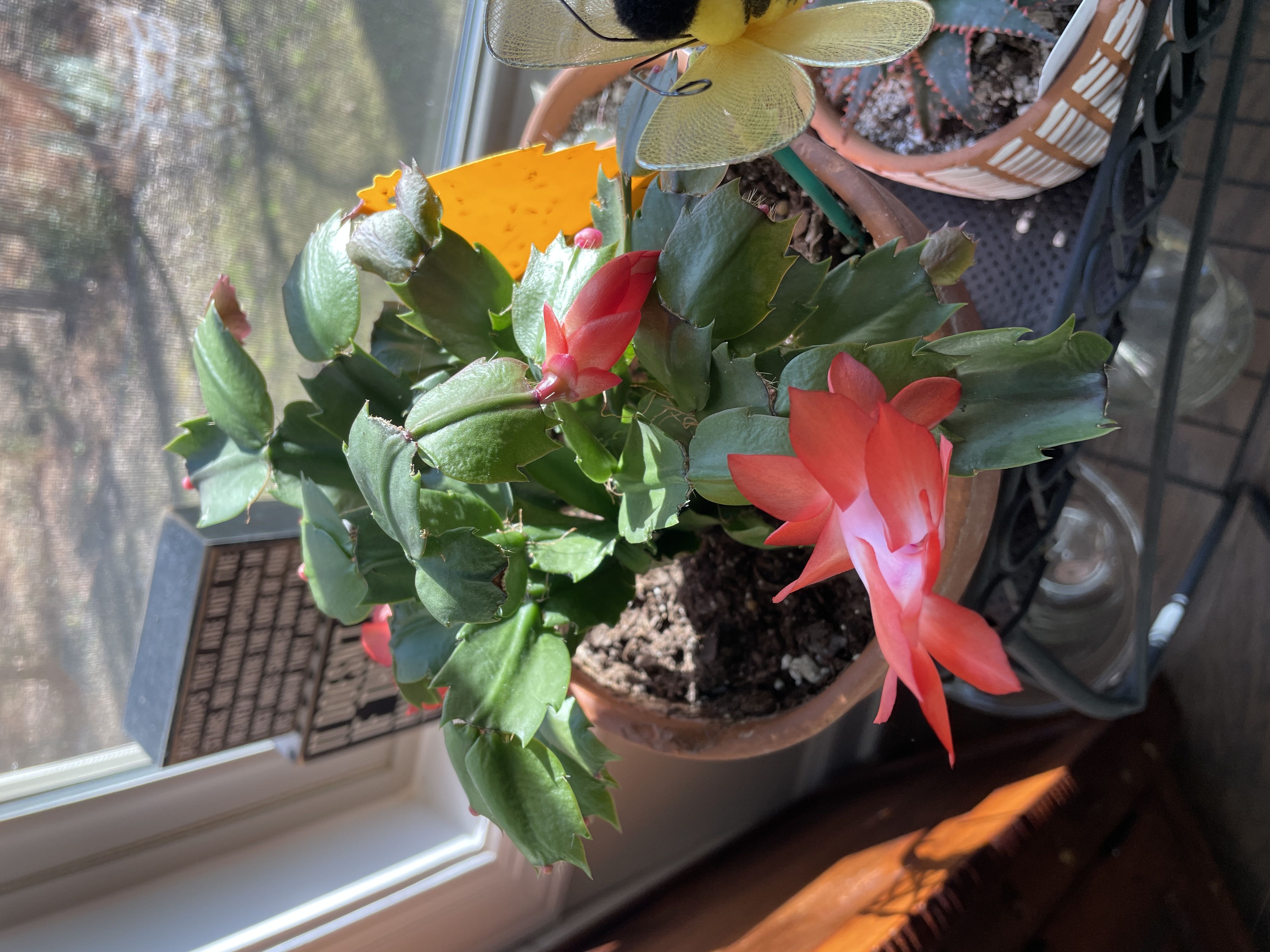Photo from the post