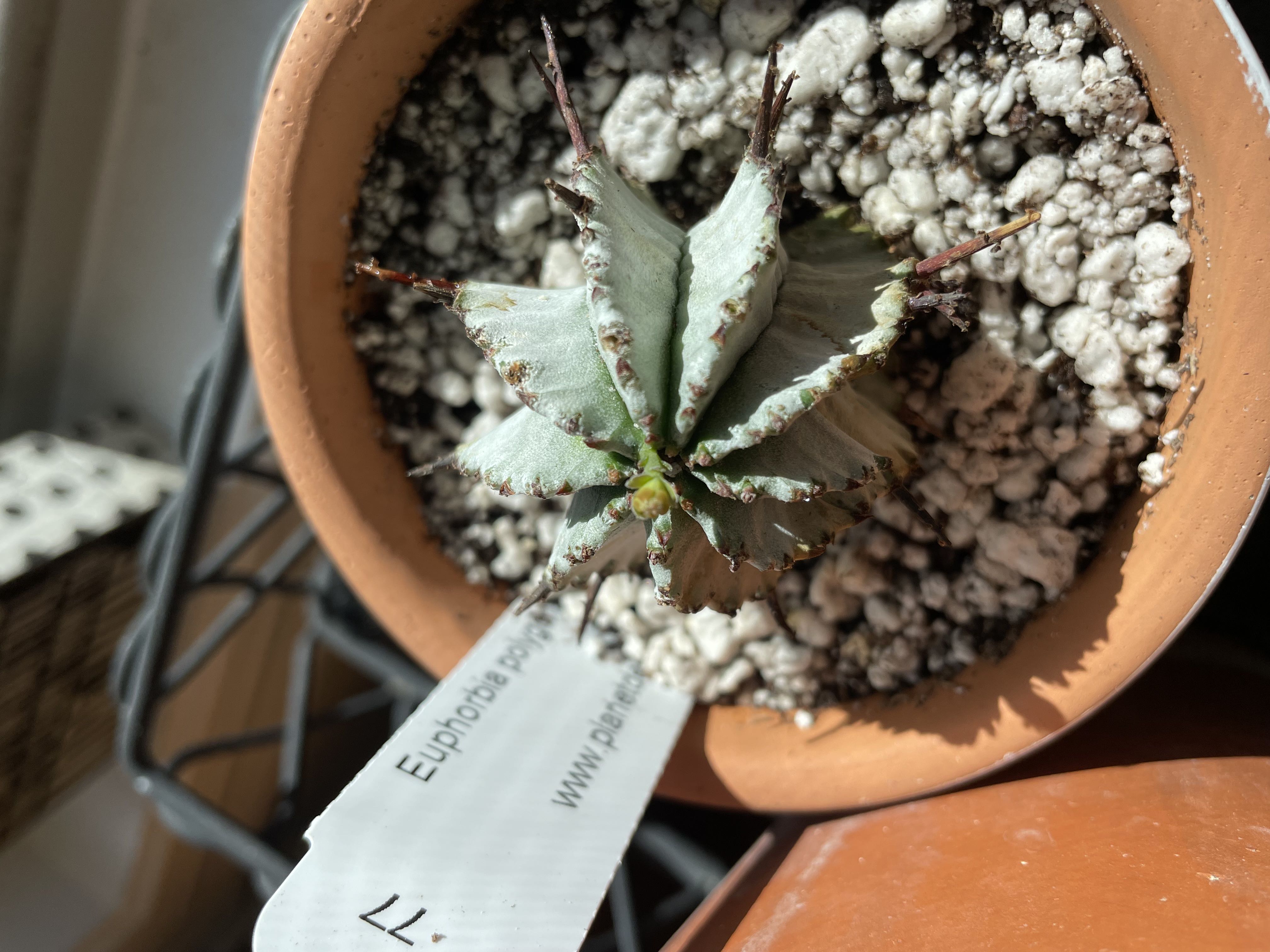 Photo from the post