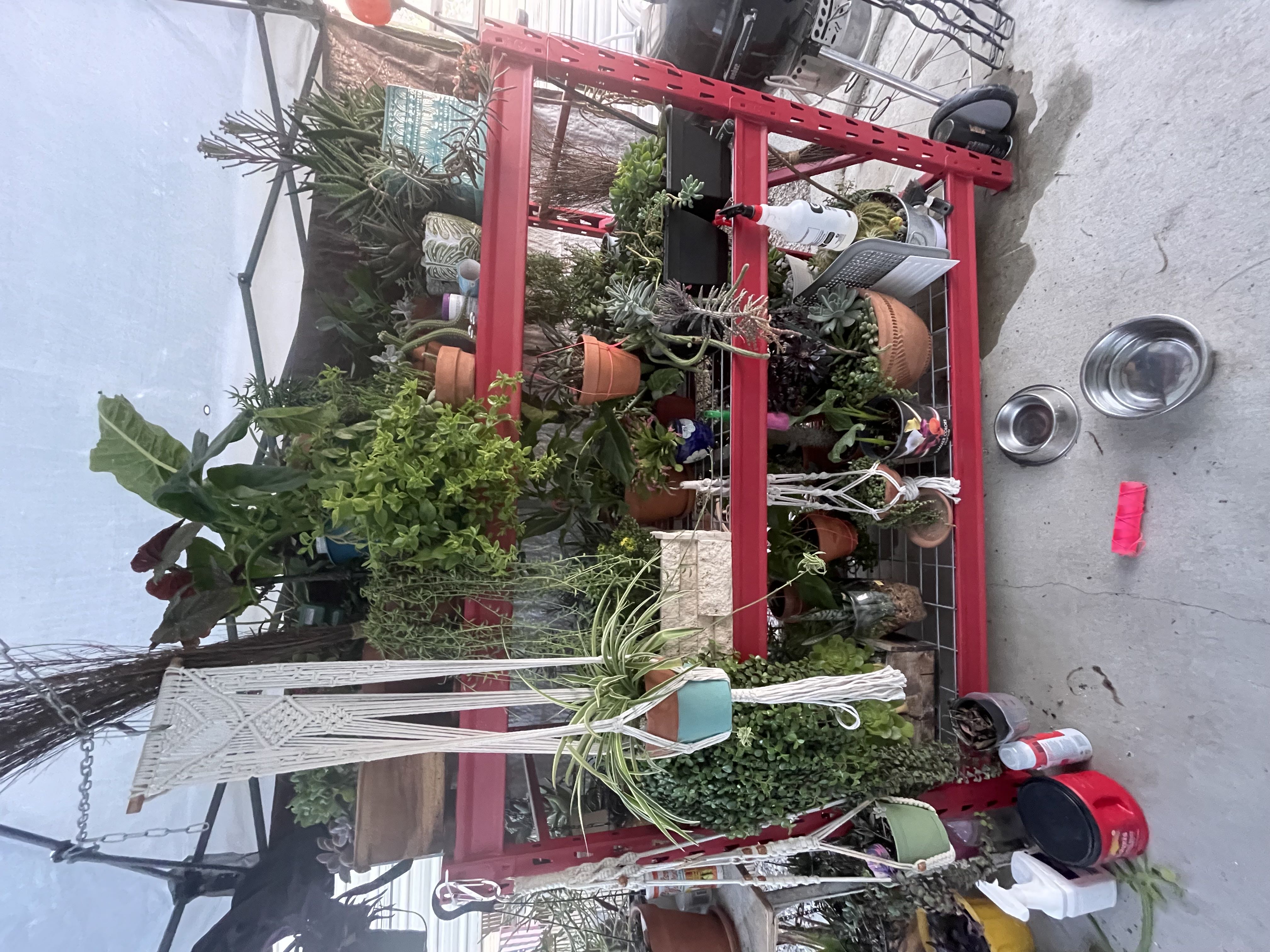 Photo from the post