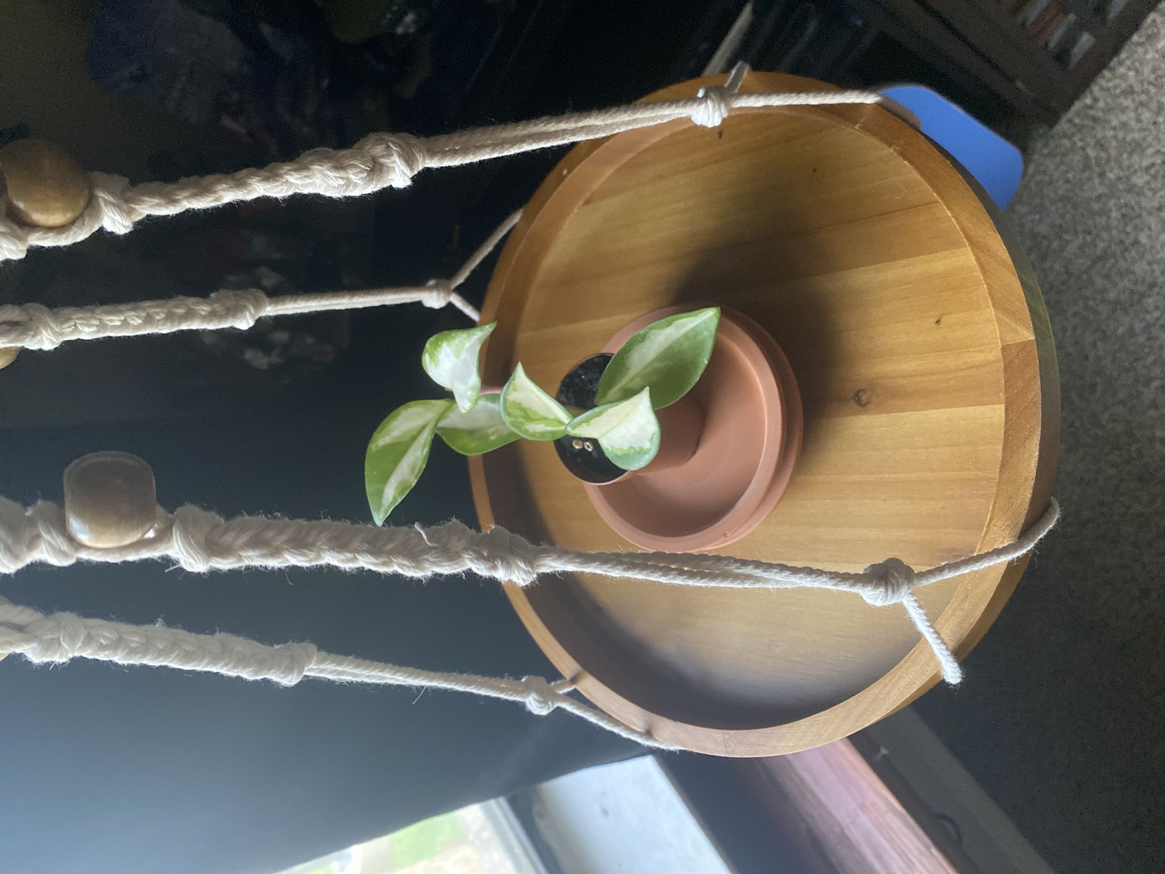 Photo from the post