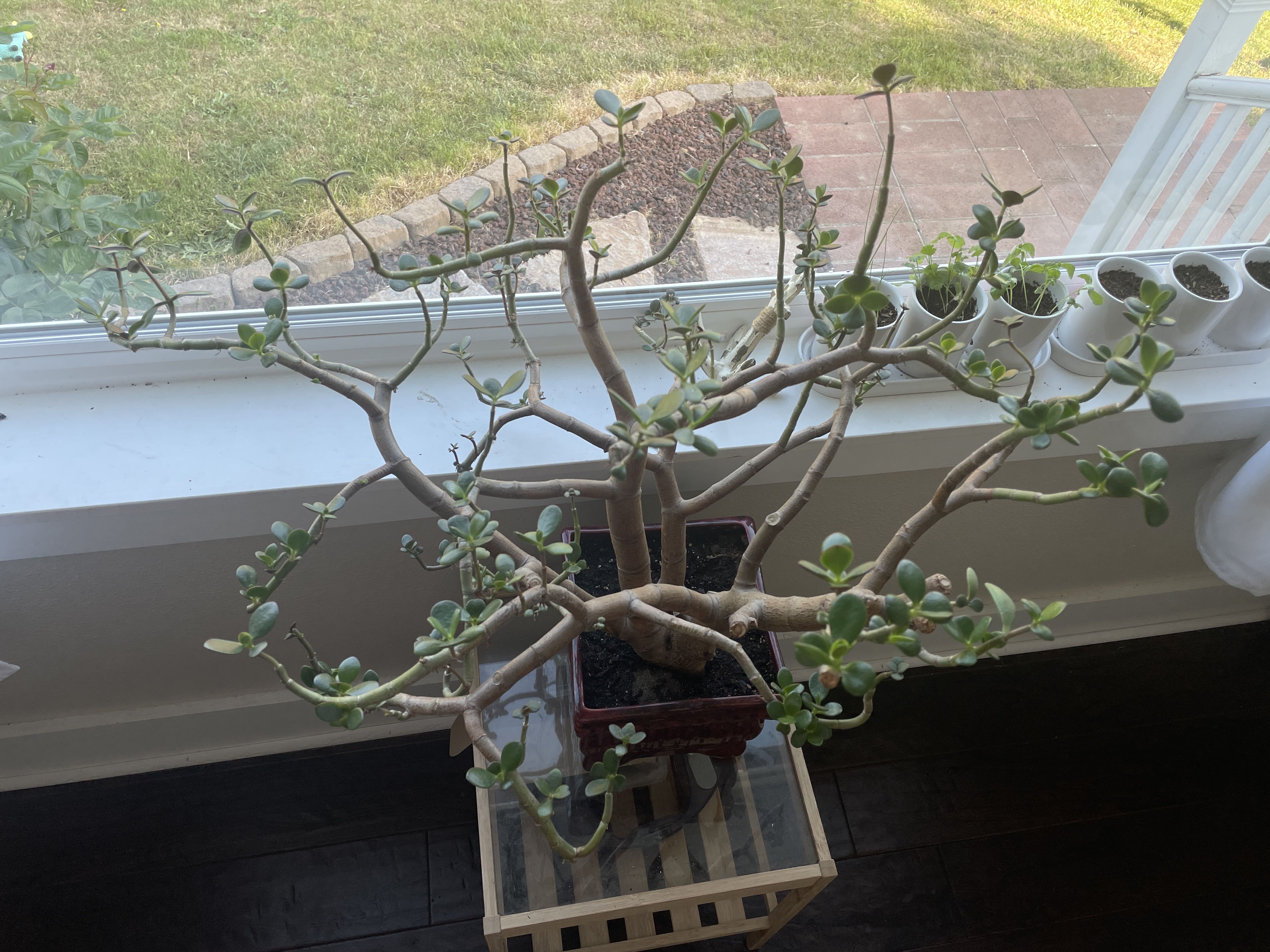 Photo from the post