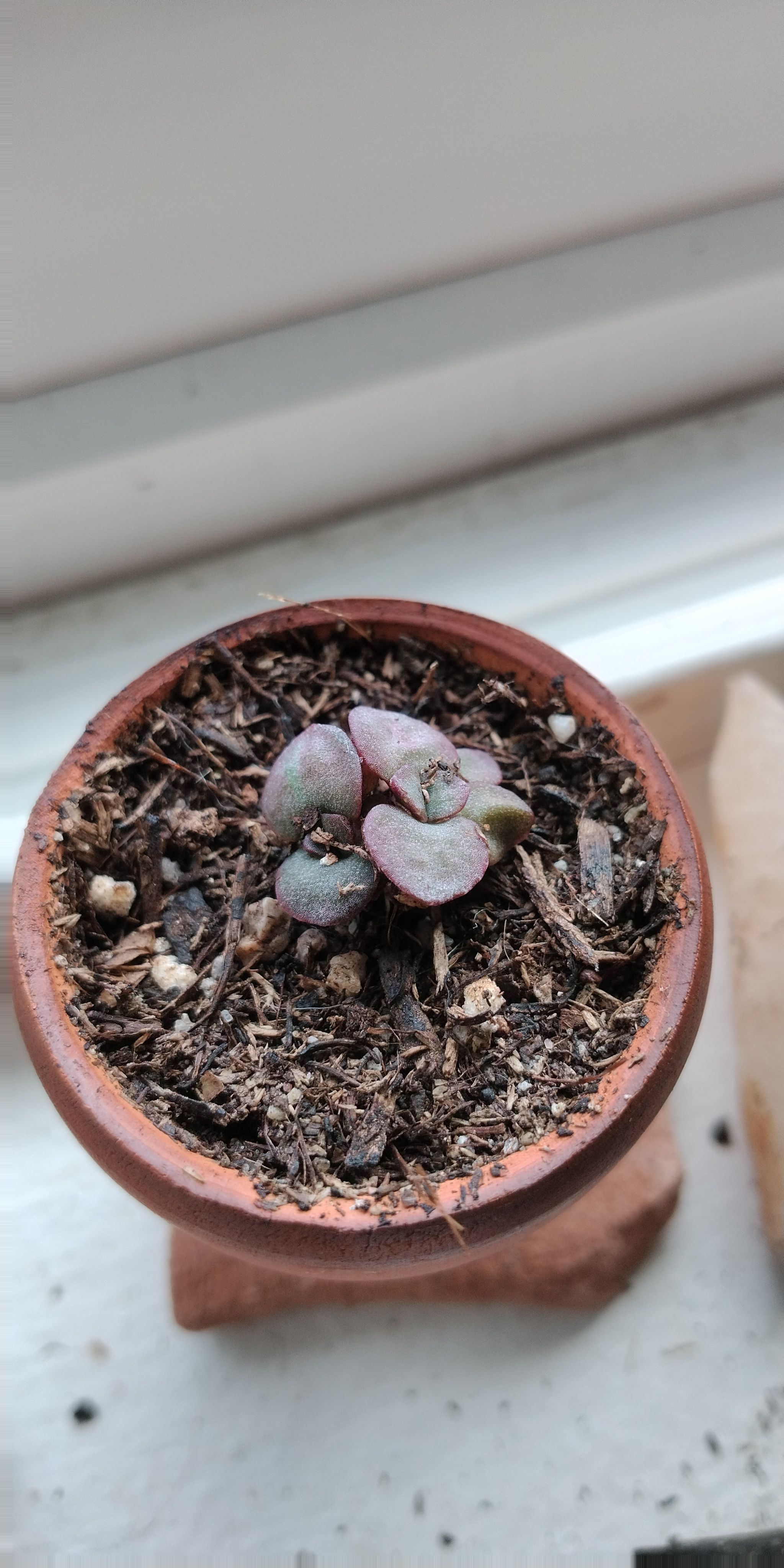 Photo from the post