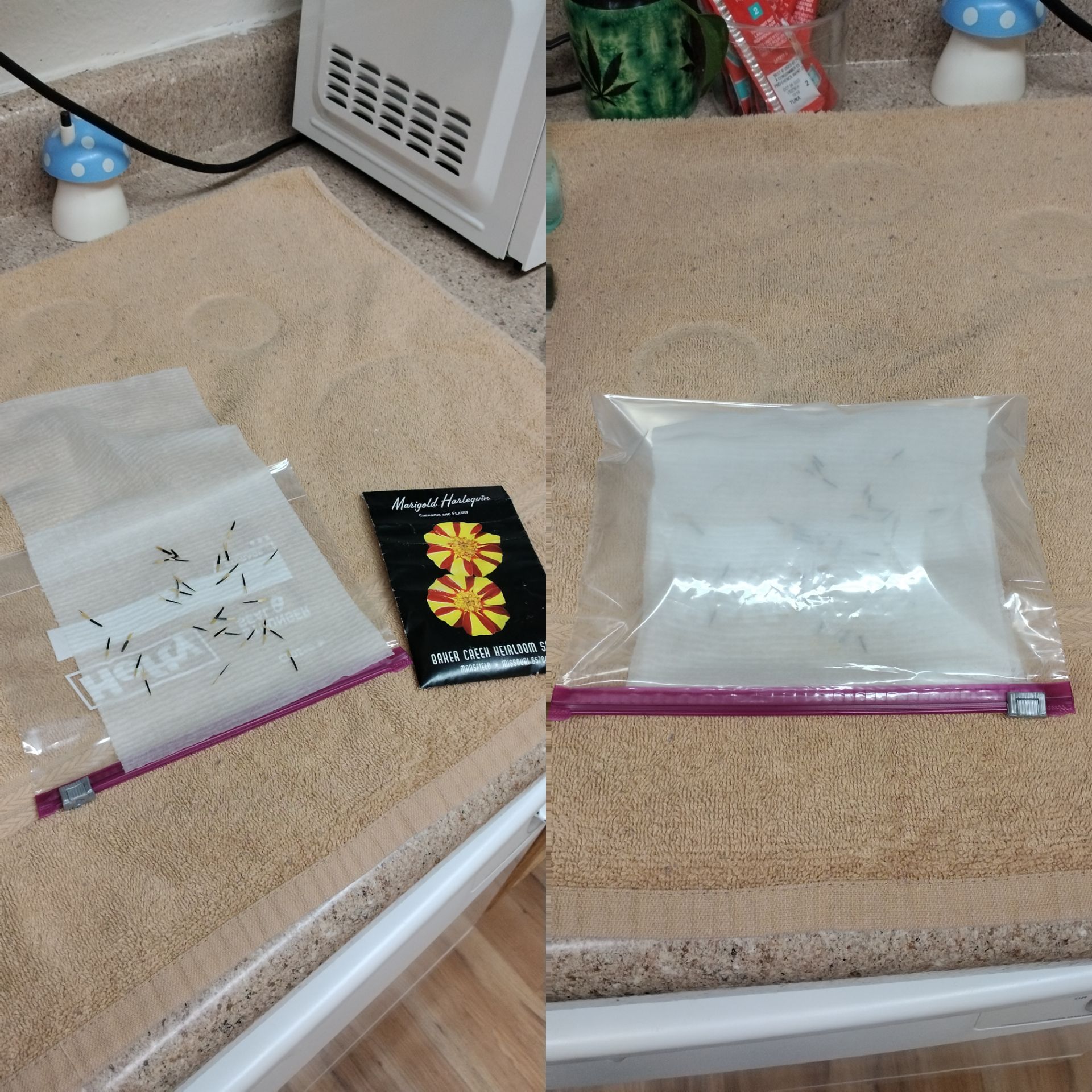 Photo from the post