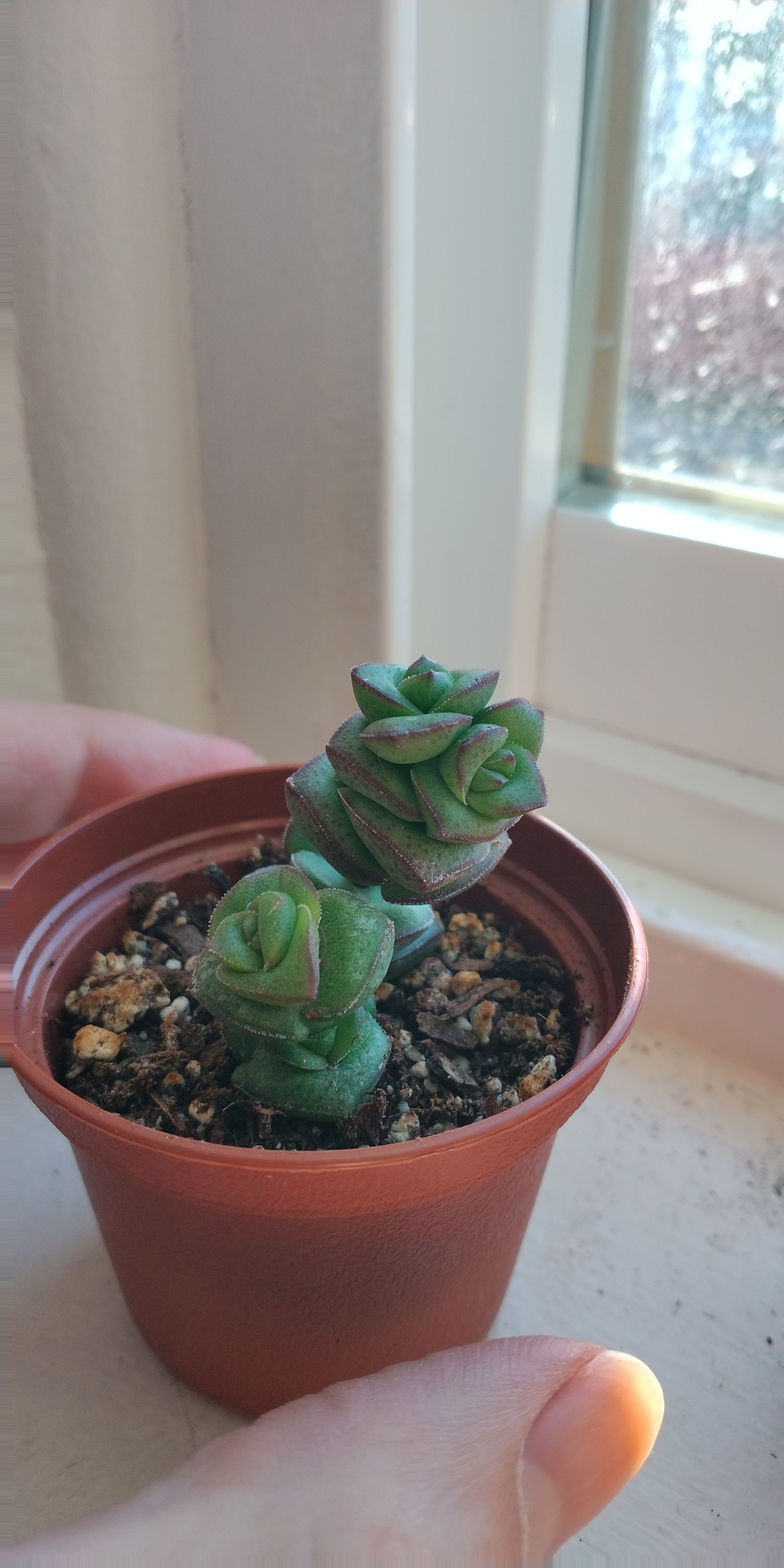 Photo from the post