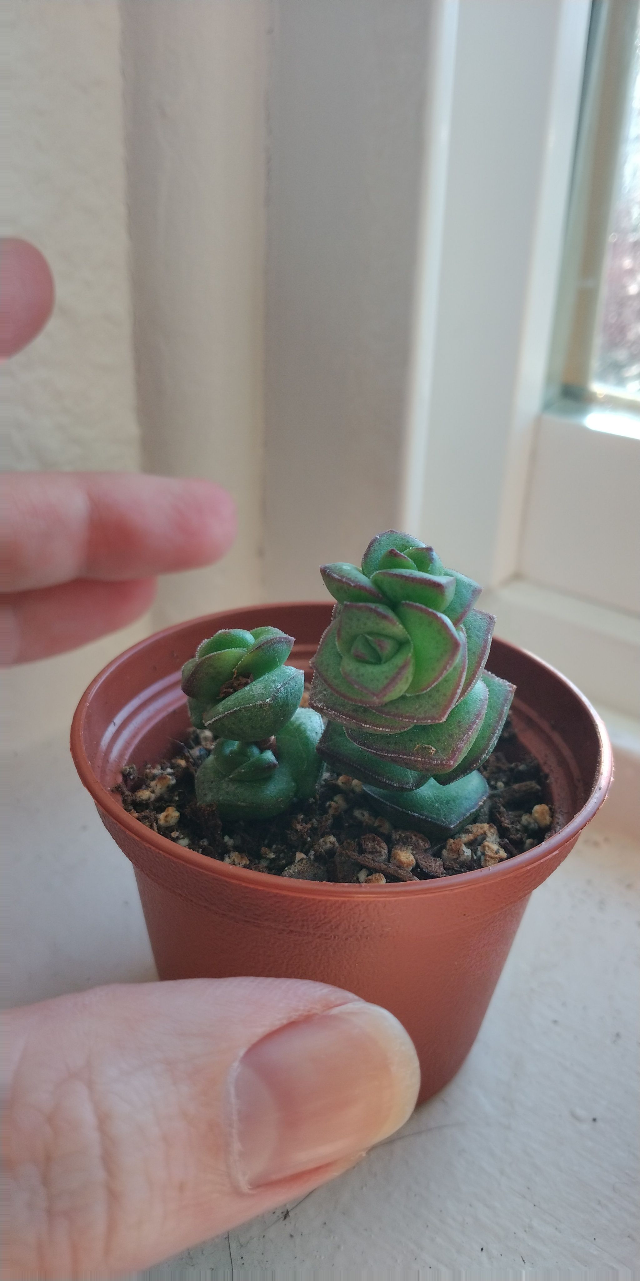 Photo from the post