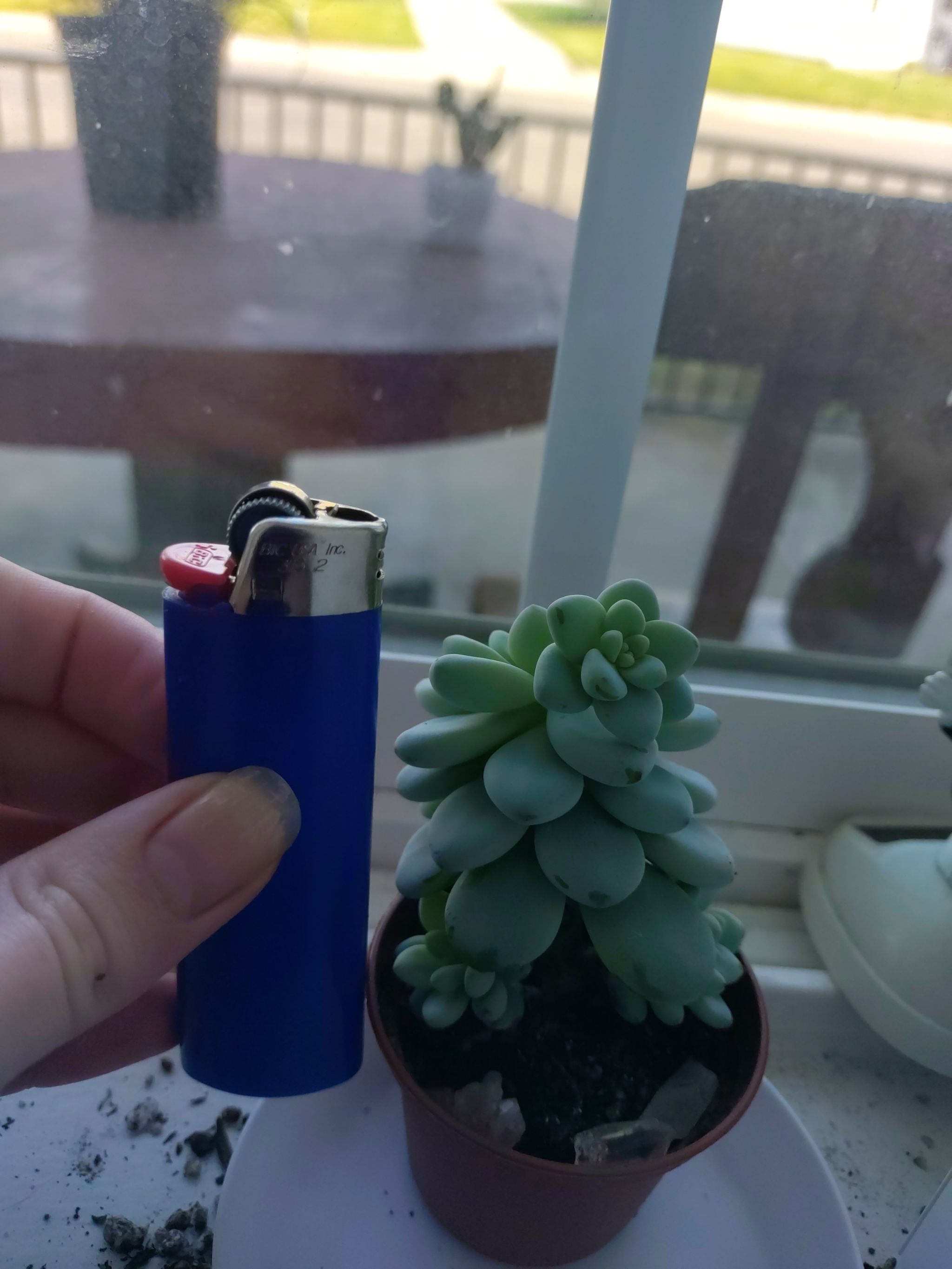 Photo from the post