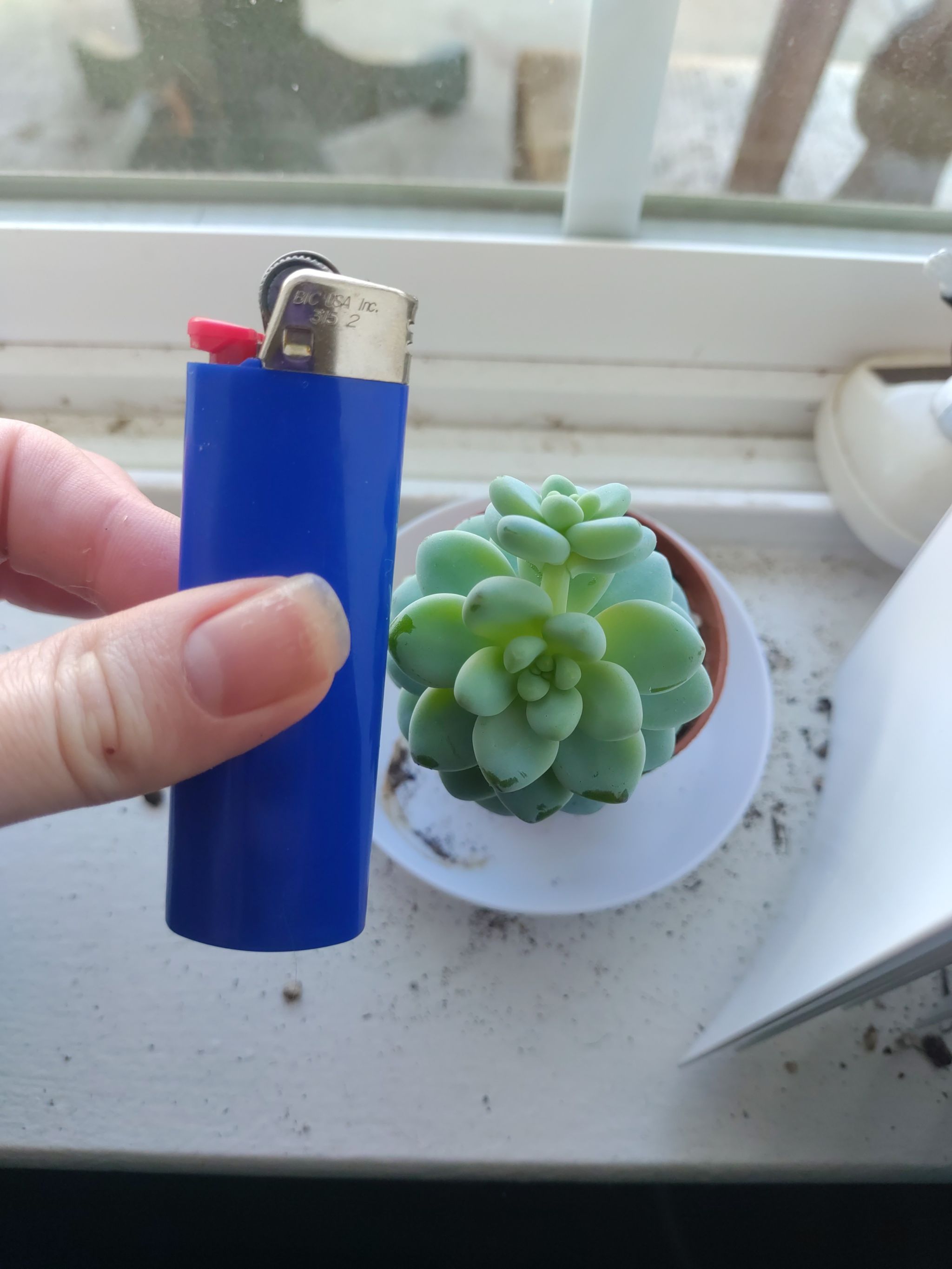 Photo from the post