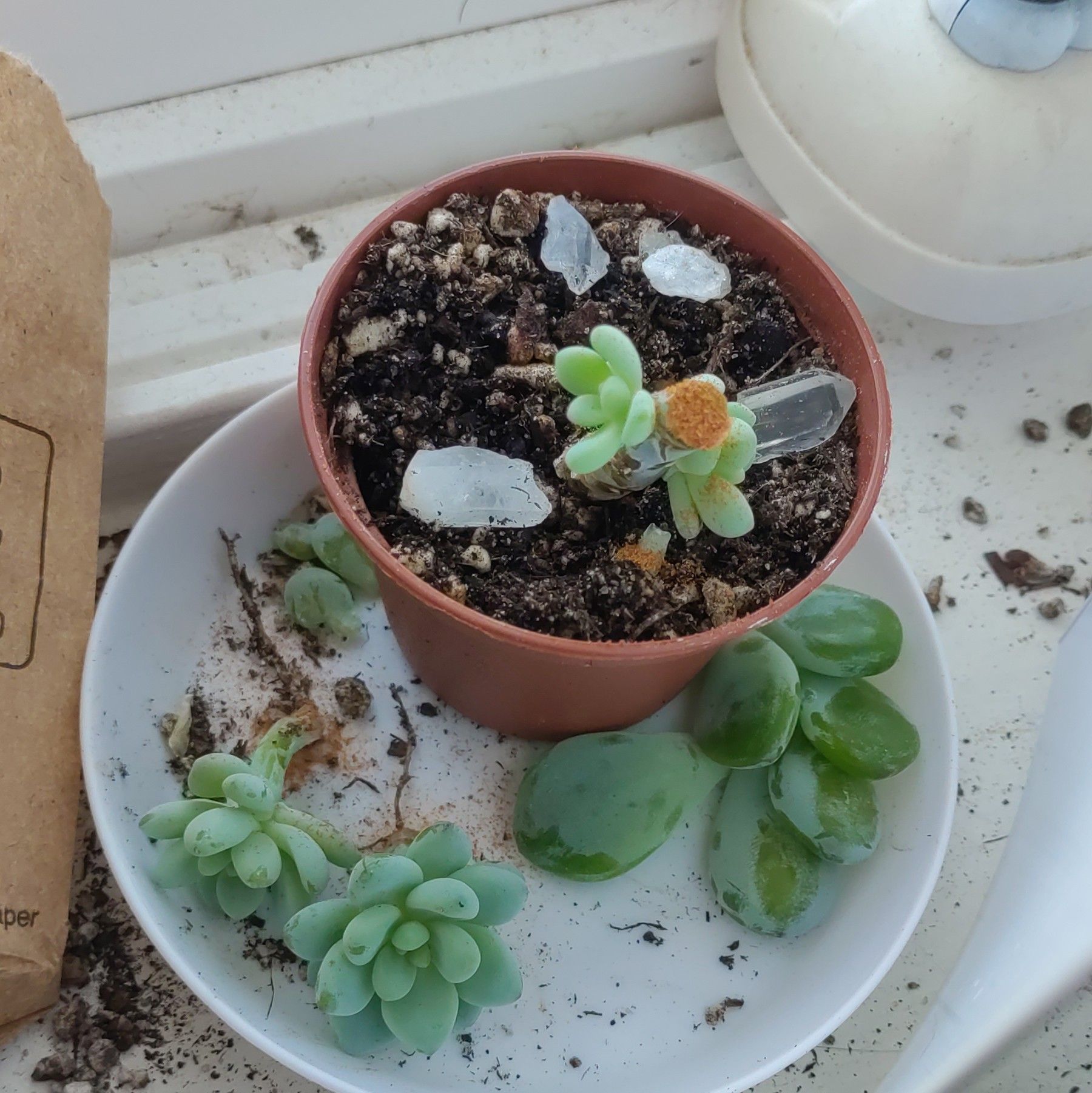 Photo from the post