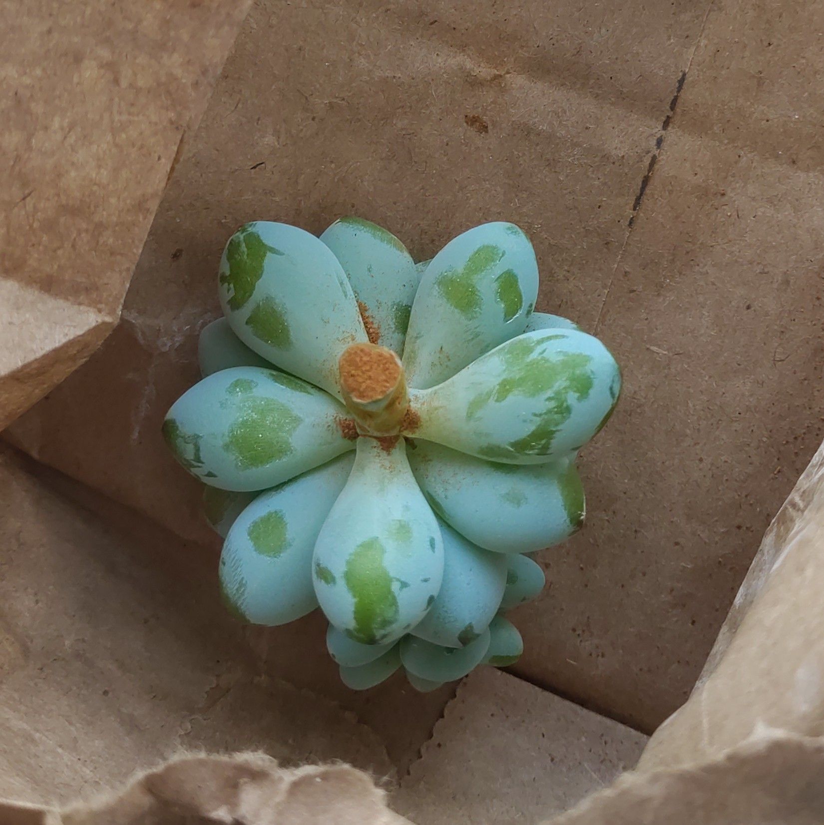 Photo from the post