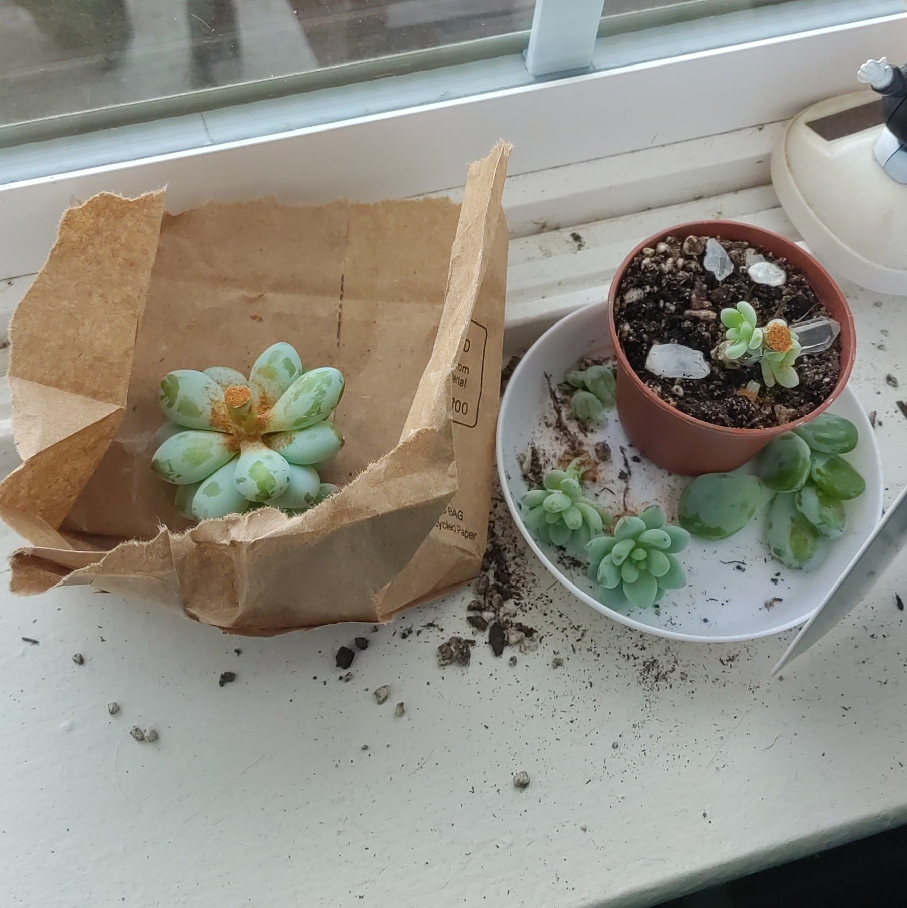 Photo from the post
