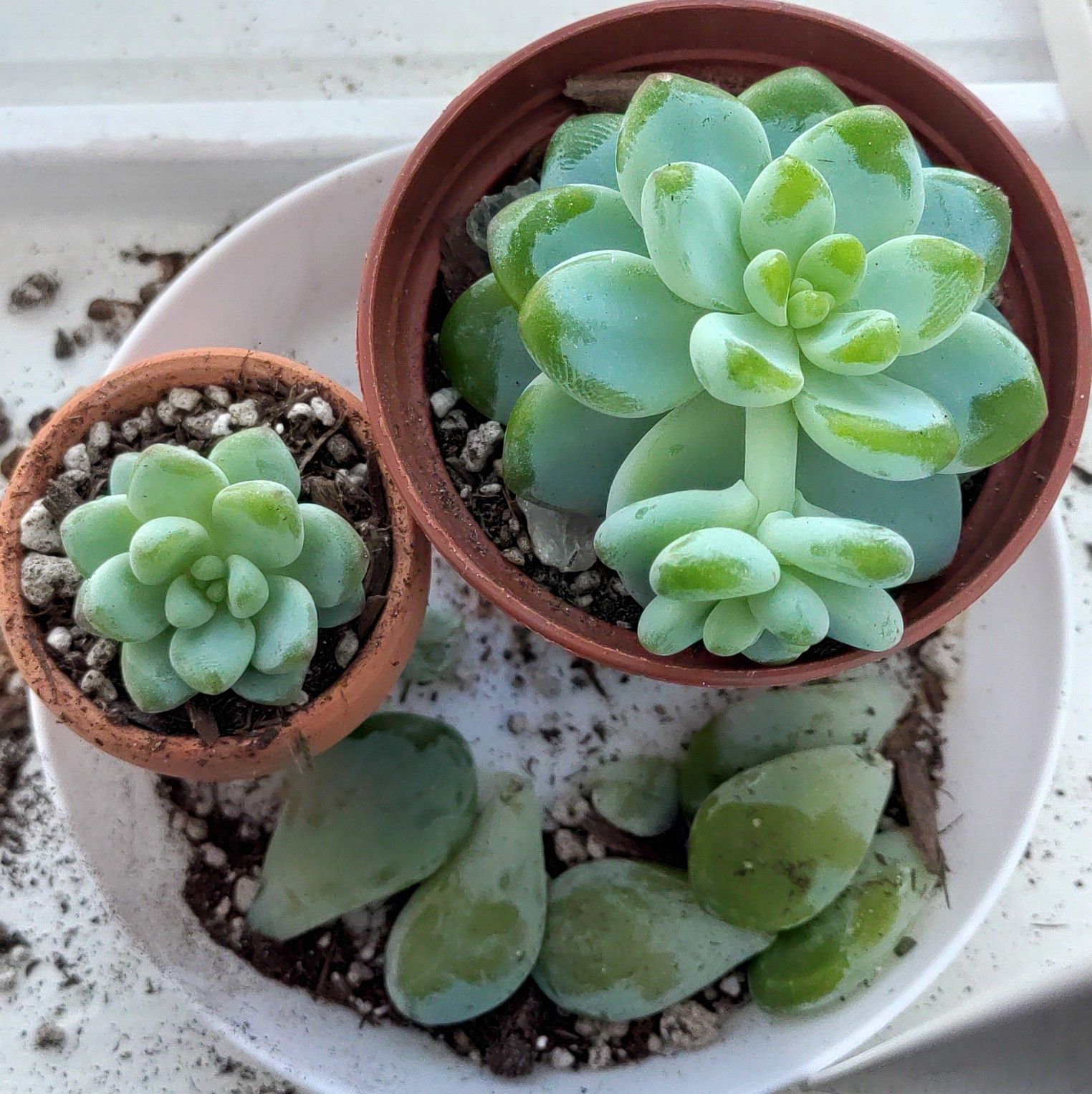 Photo from the post