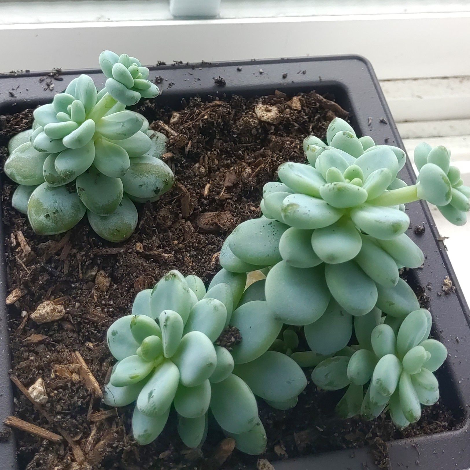 Photo from the post