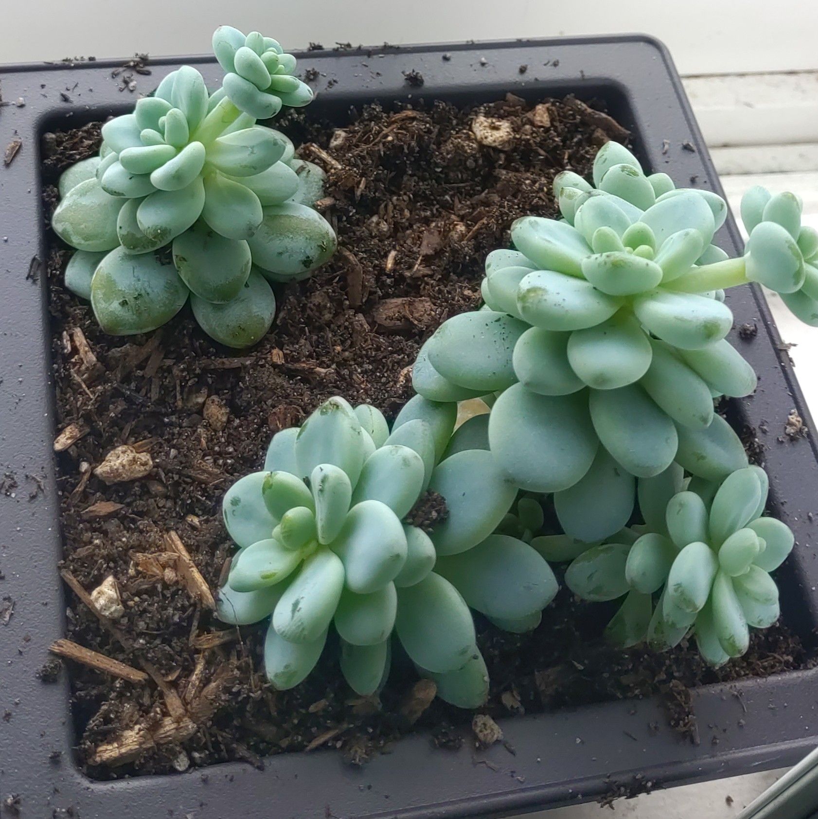 Photo from the post