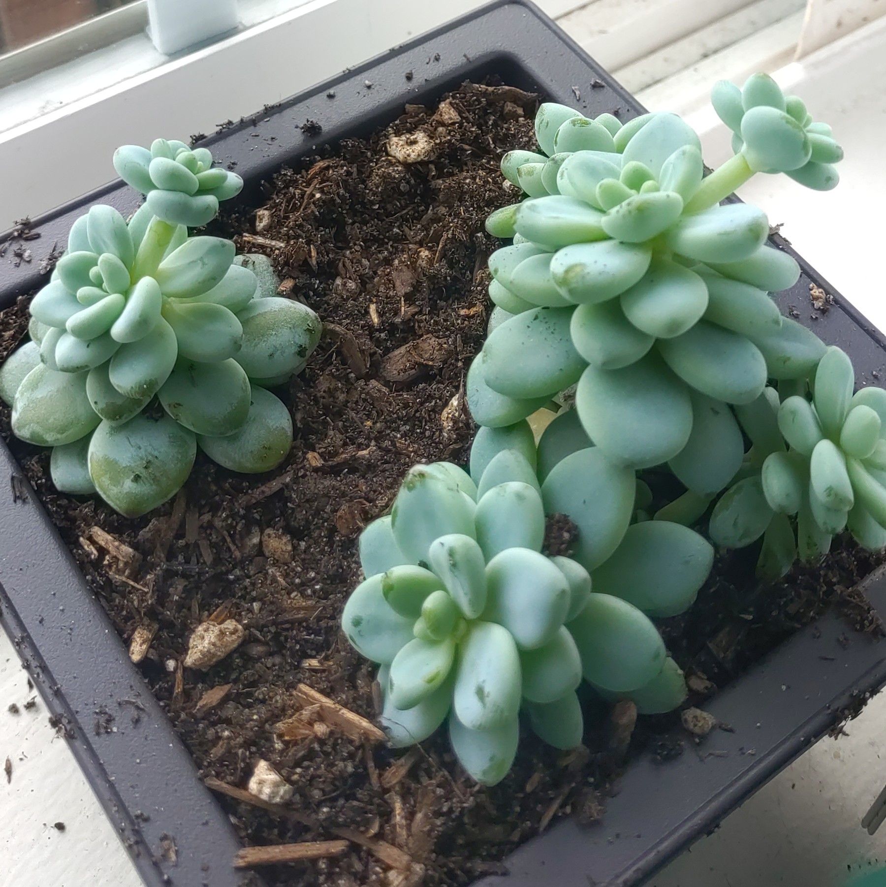 Photo from the post