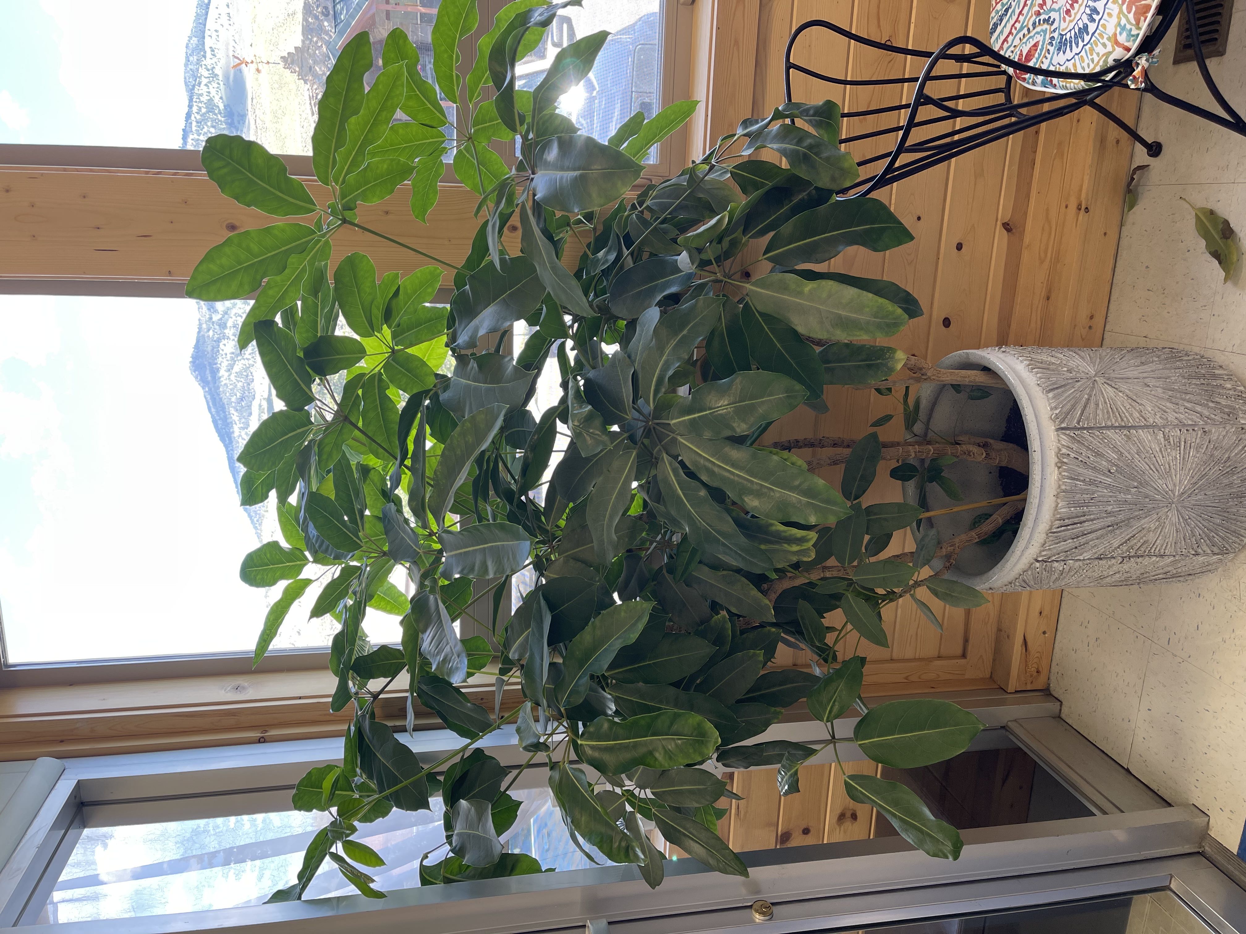 Photo from the post