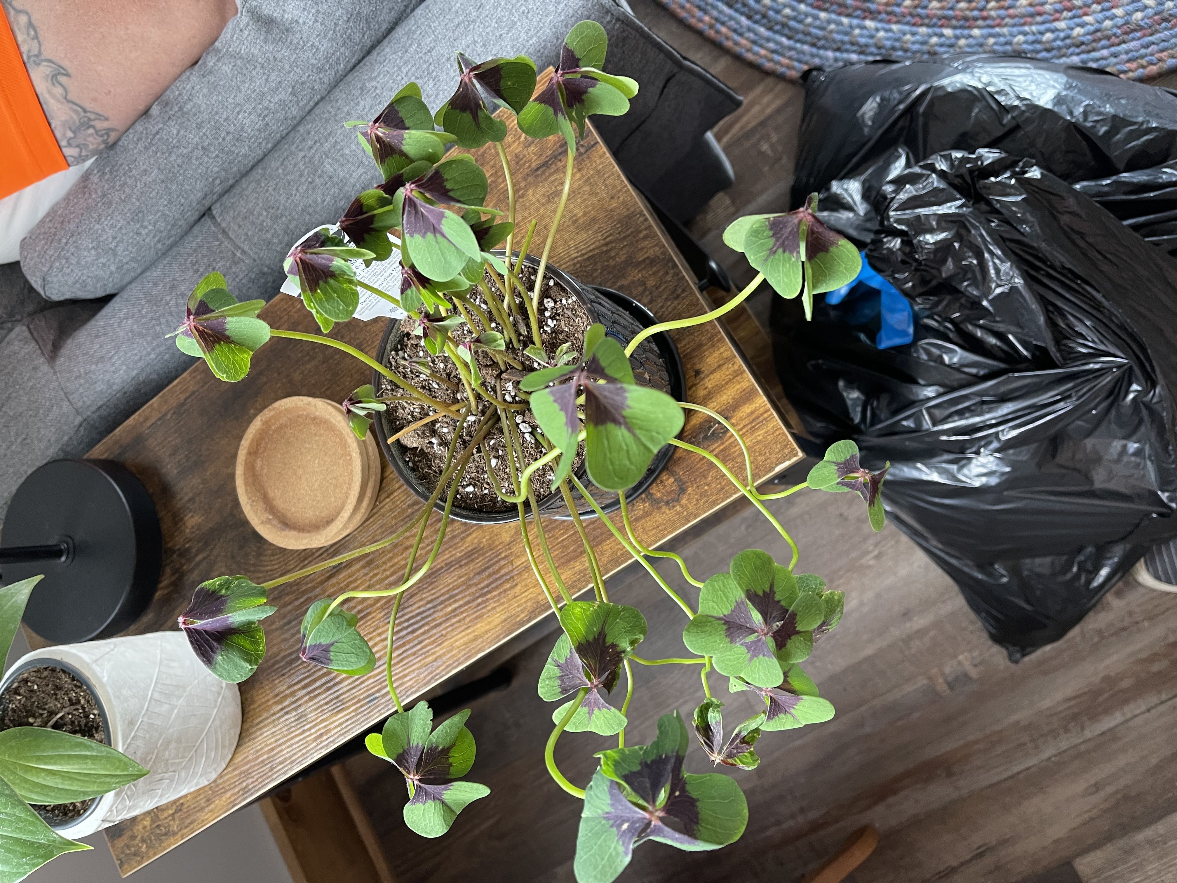 Photo from the post