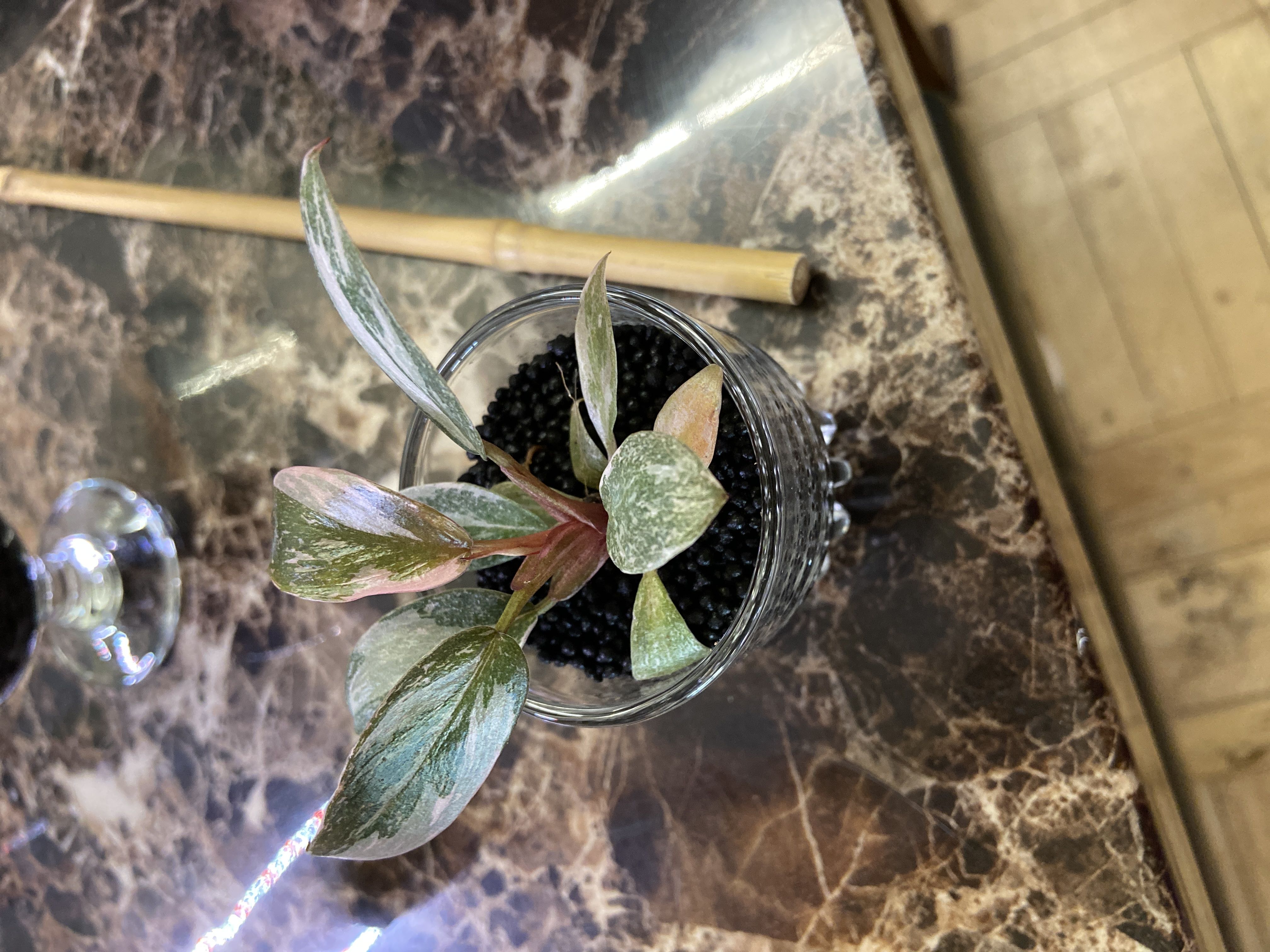 Photo from the post
