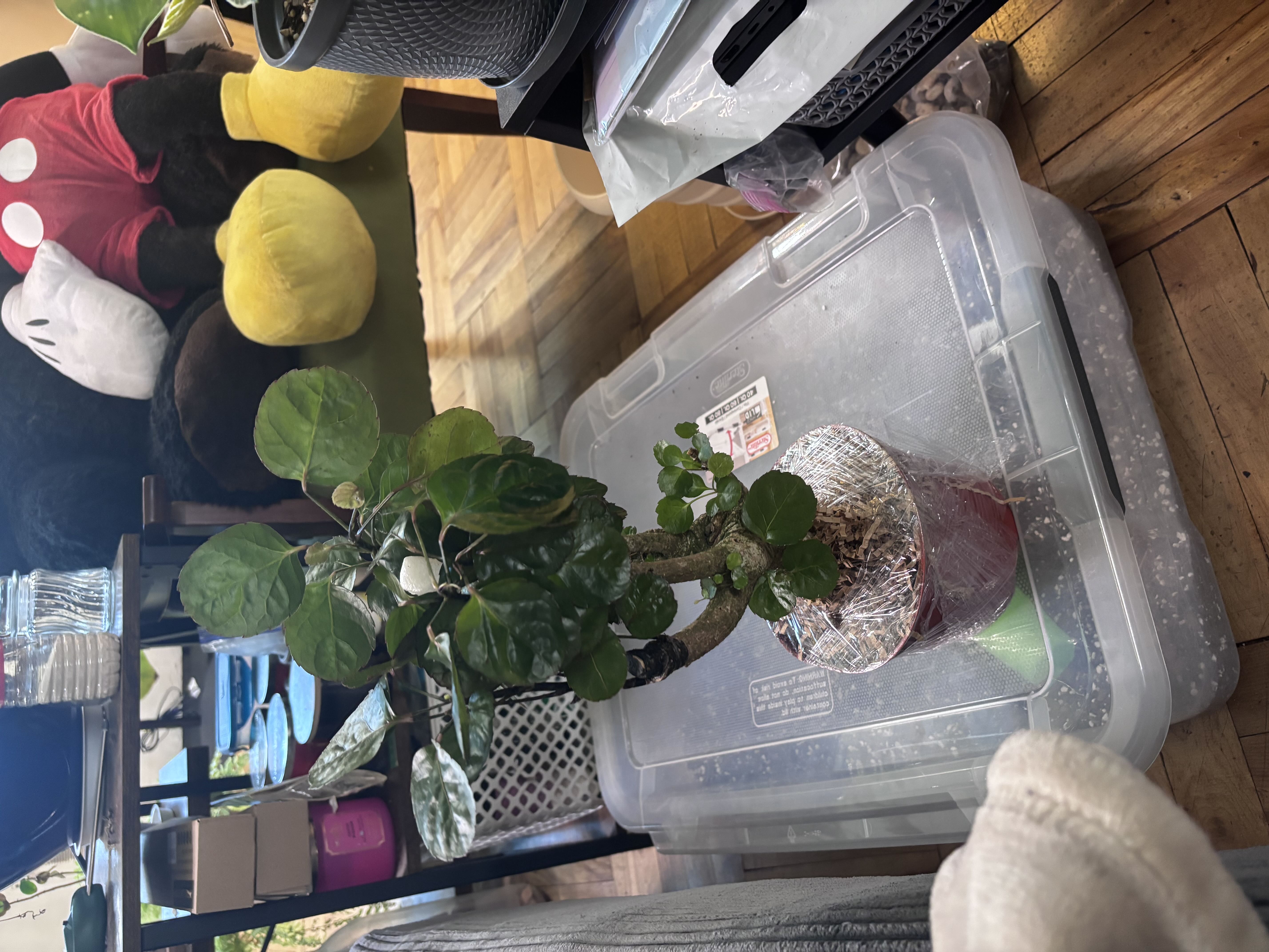 Photo from the post