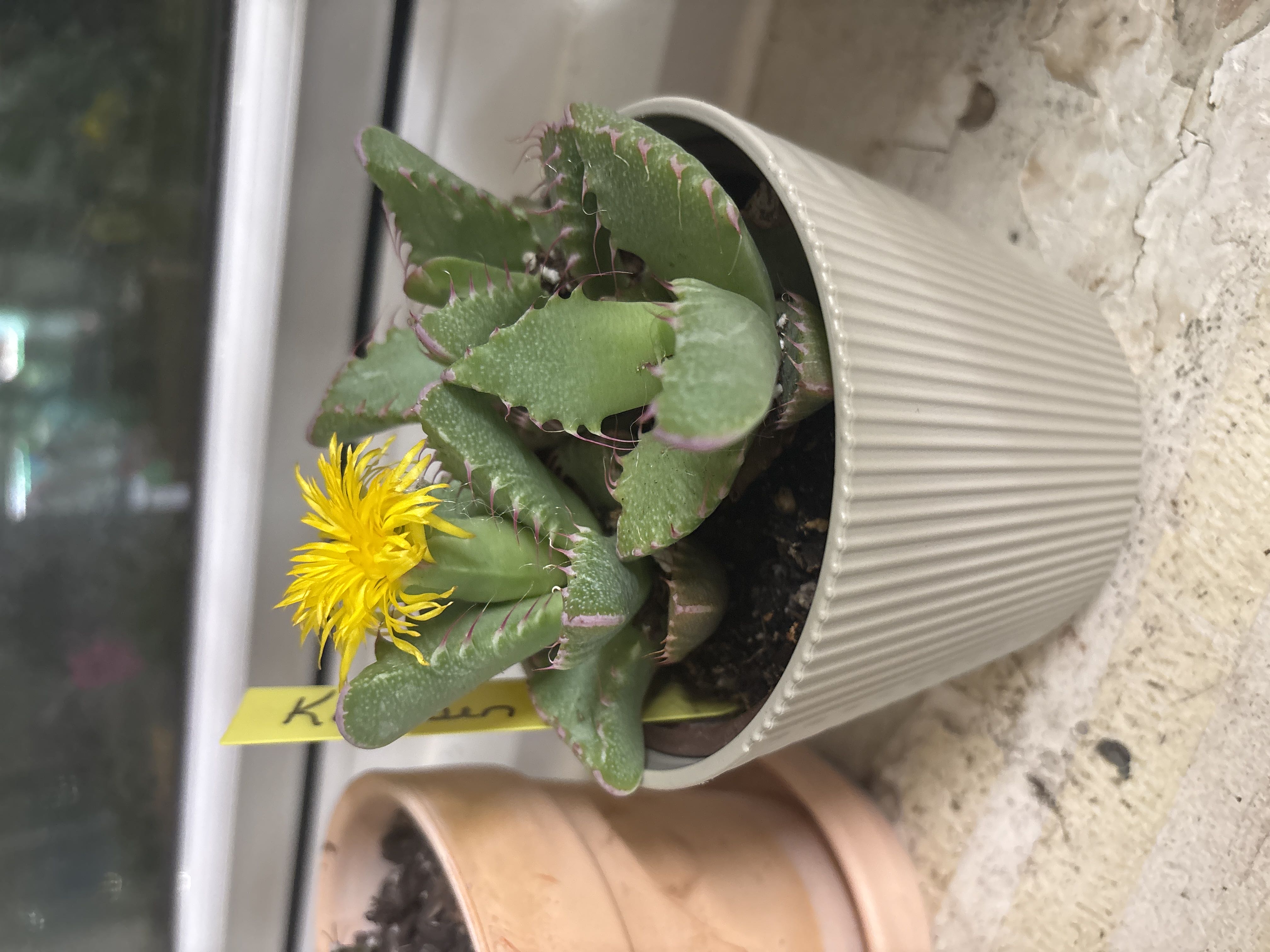 Photo from the post